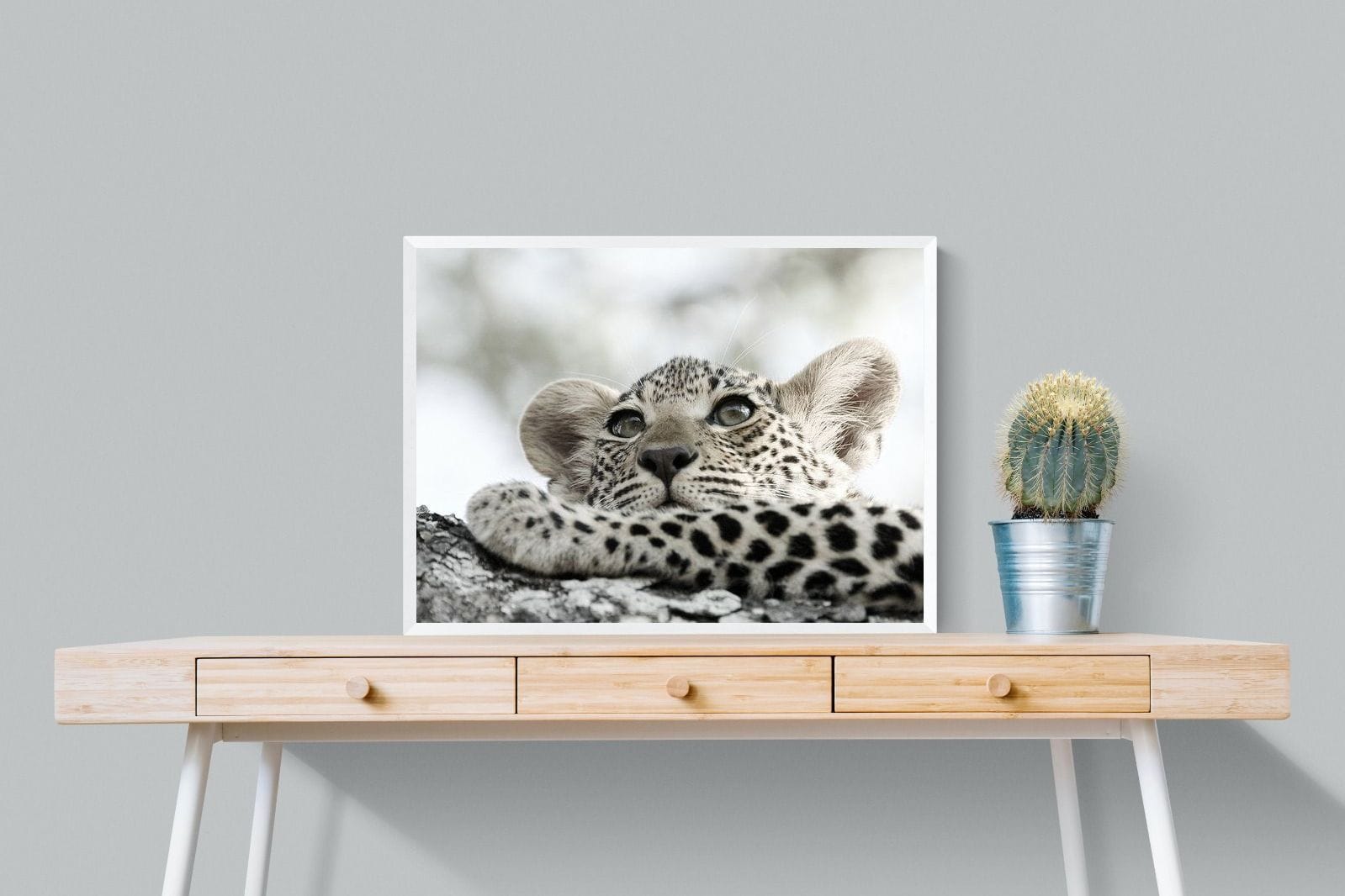 Leopard Cub-Wall_Art-80 x 60cm-Mounted Canvas-White-Pixalot