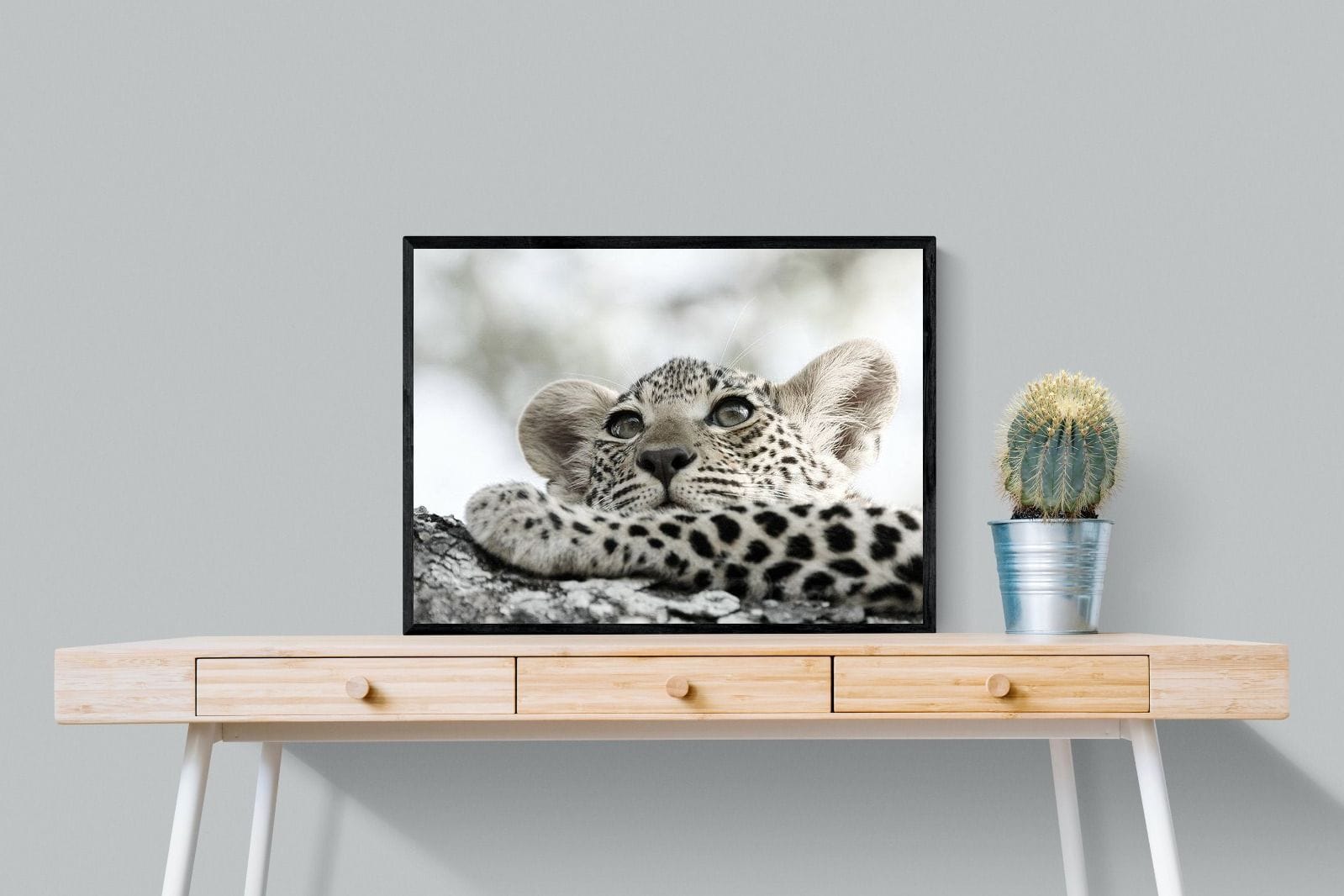 Leopard Cub-Wall_Art-80 x 60cm-Mounted Canvas-Black-Pixalot