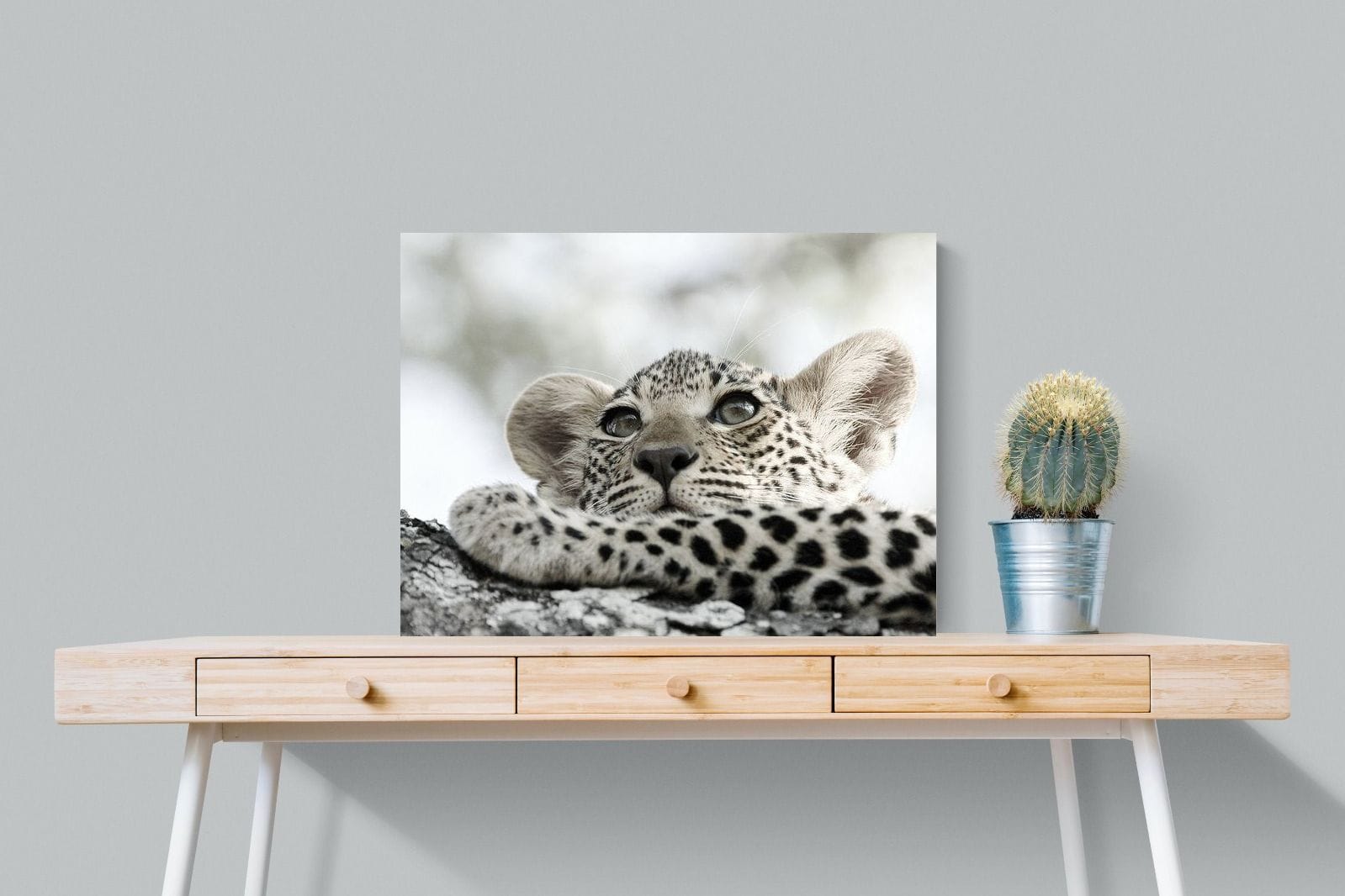 Leopard Cub-Wall_Art-80 x 60cm-Mounted Canvas-No Frame-Pixalot