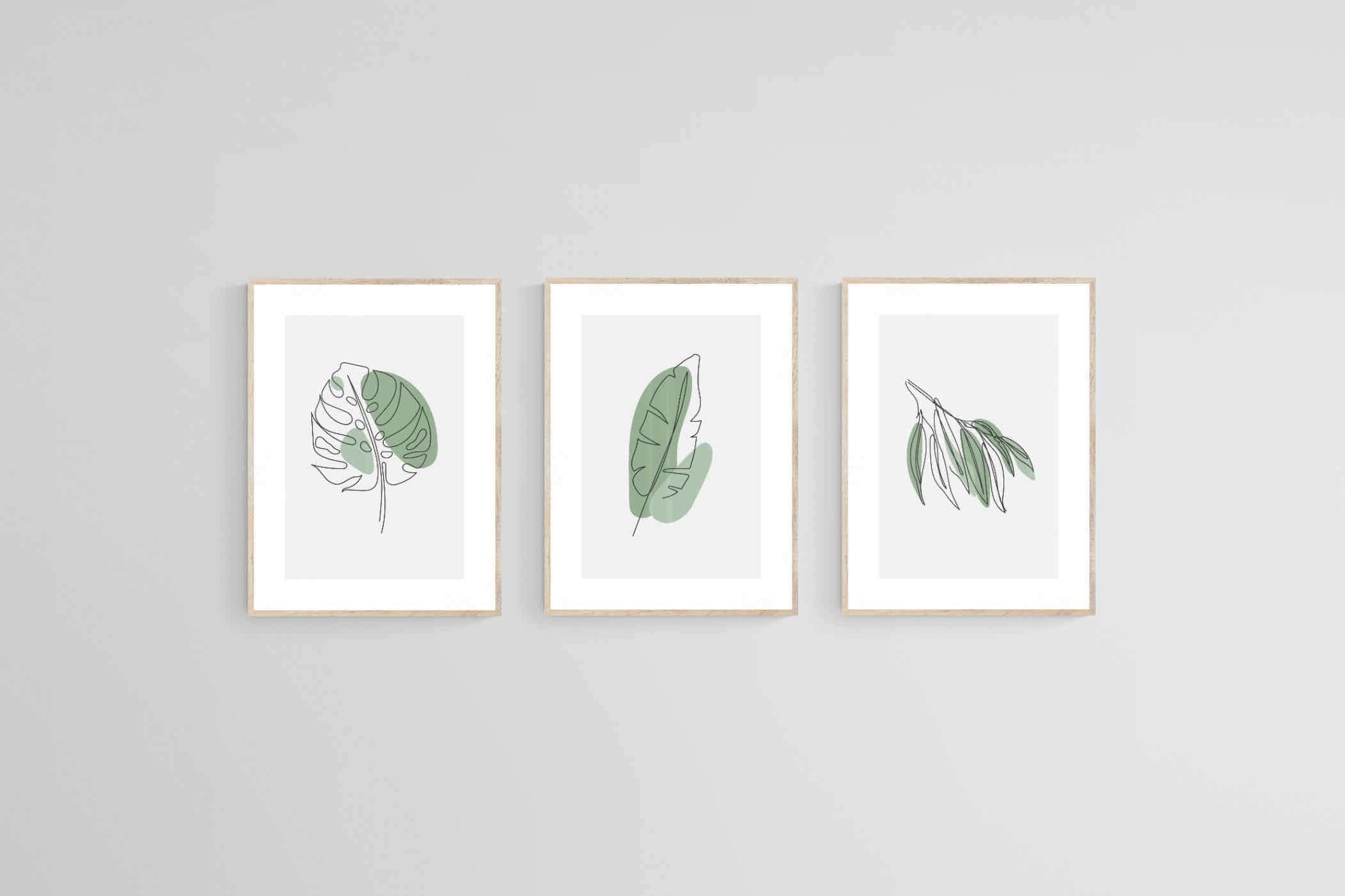 Line Drawn Foliage Set-Wall_Art-45 x 60cm (x3)-Framed Print-Wood-Pixalot