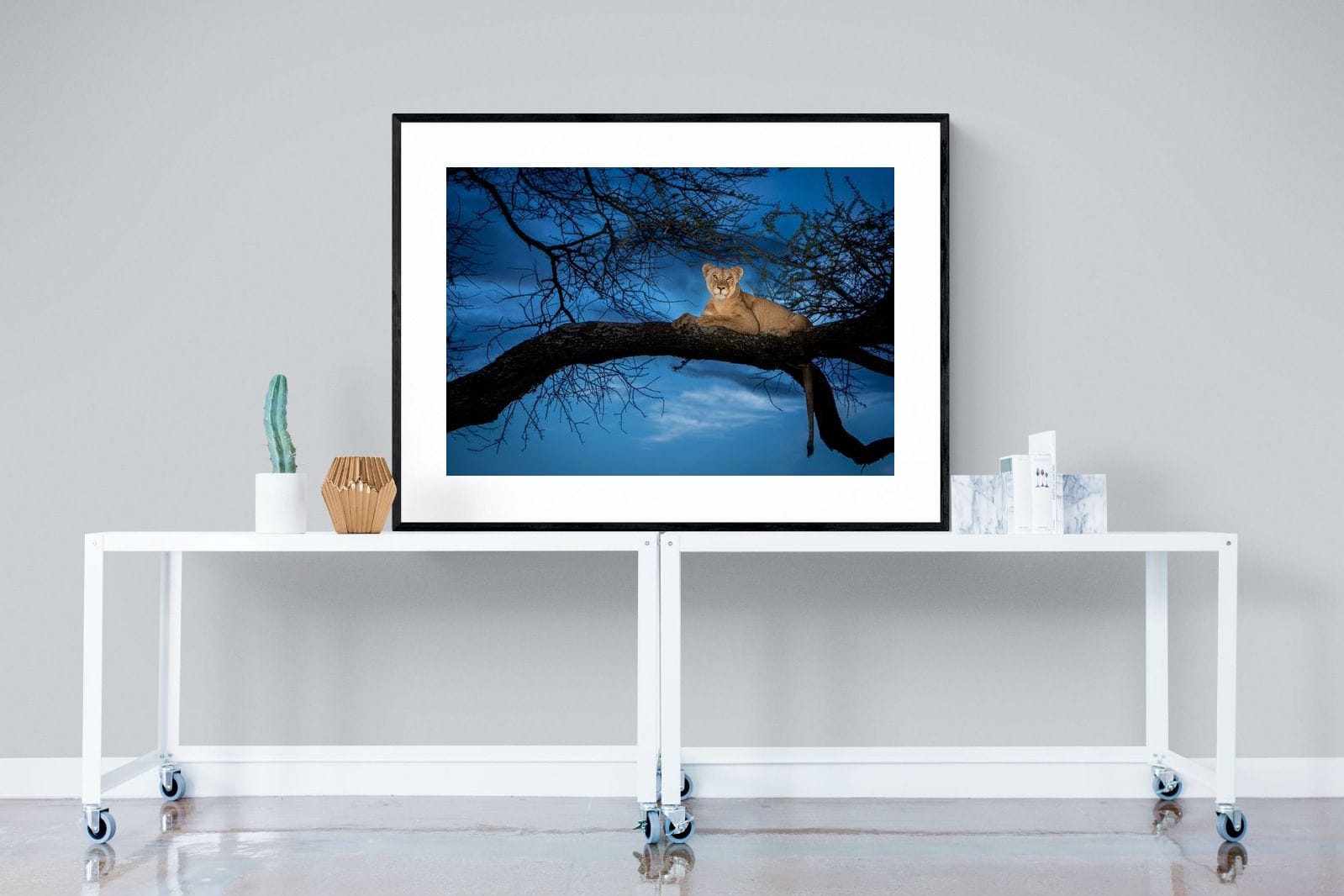 Lion at Dusk-Wall_Art-120 x 90cm-Framed Print-Black-Pixalot