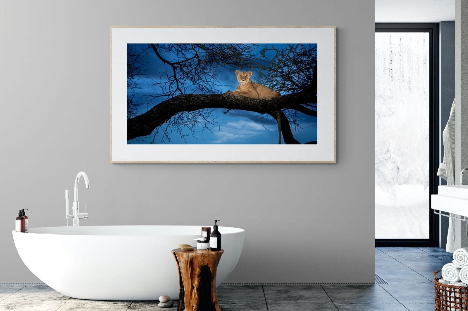 Lion at Dusk-Wall_Art-180 x 110cm-Framed Print-Wood-Pixalot
