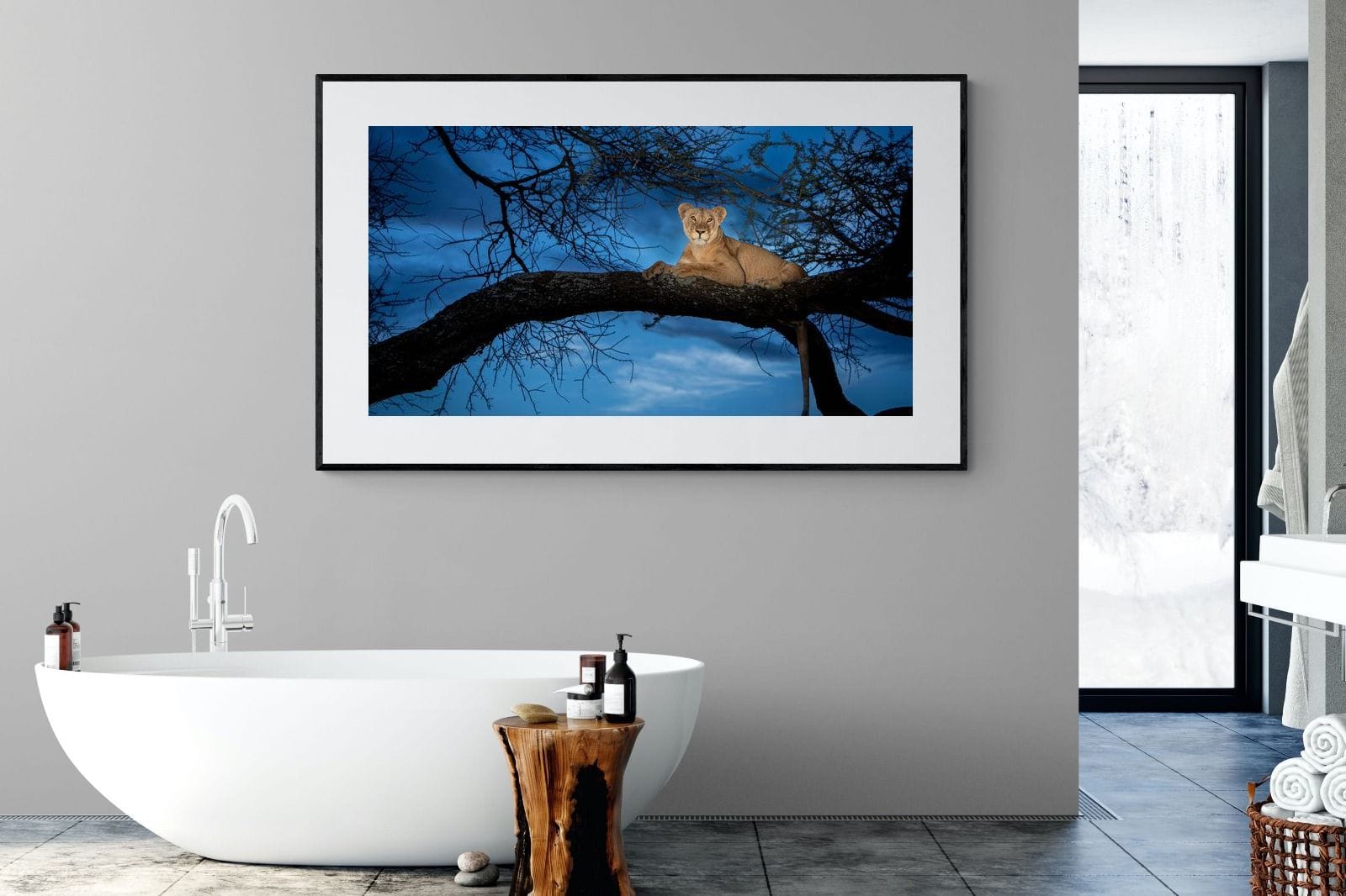 Lion at Dusk-Wall_Art-180 x 110cm-Framed Print-Black-Pixalot