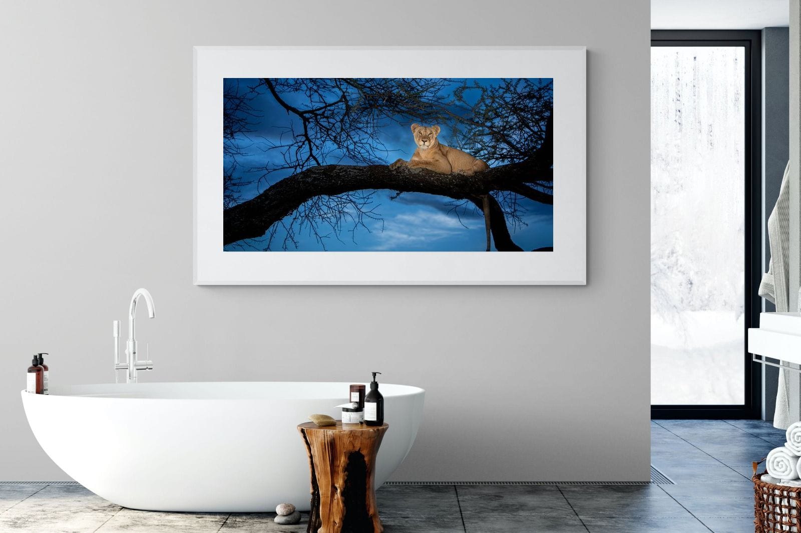 Lion at Dusk-Wall_Art-180 x 110cm-Framed Print-White-Pixalot