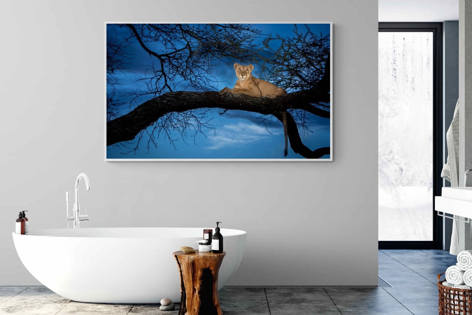 Lion at Dusk-Wall_Art-180 x 110cm-Mounted Canvas-White-Pixalot