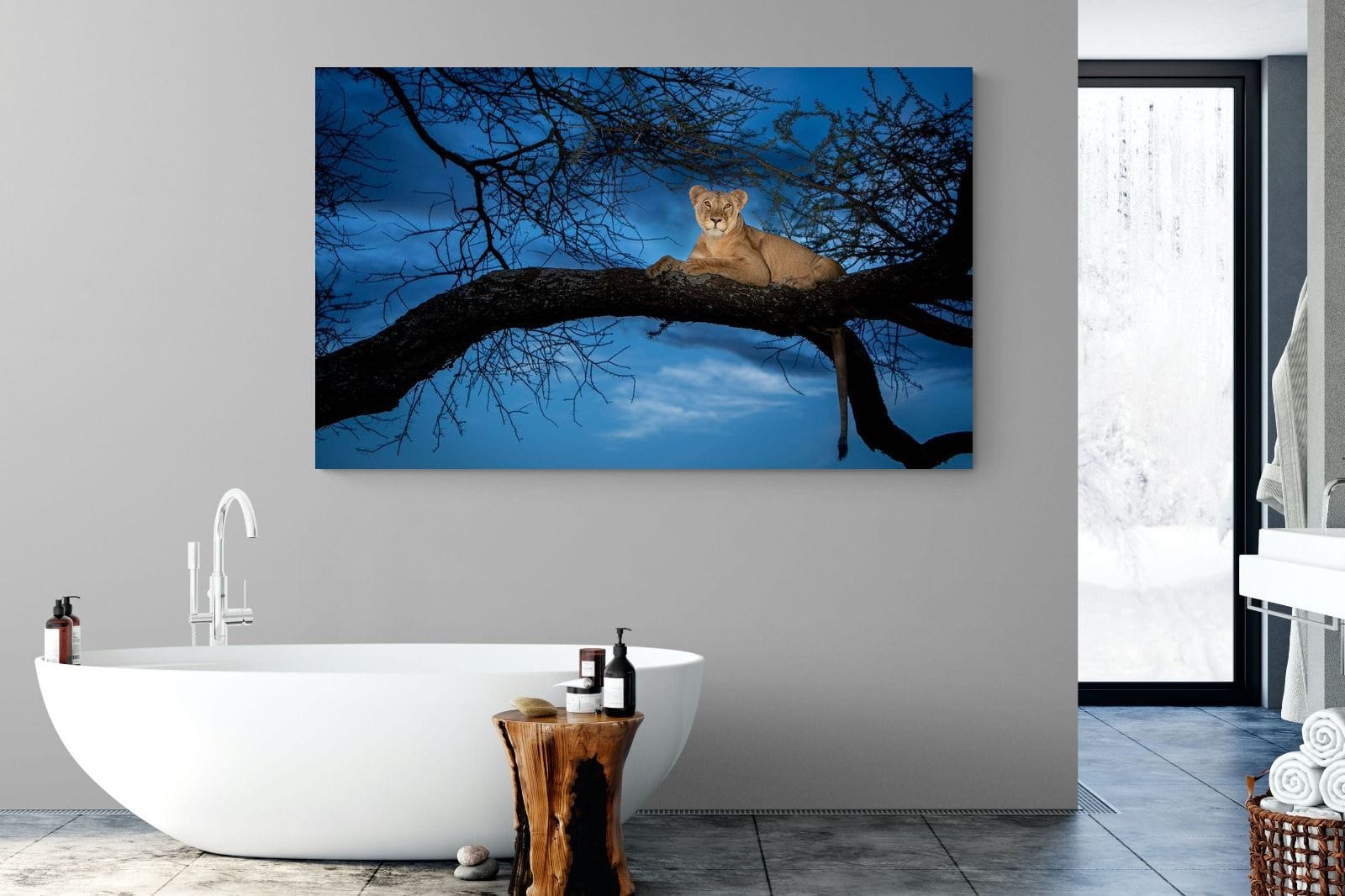 Lion at Dusk-Wall_Art-180 x 110cm-Mounted Canvas-No Frame-Pixalot