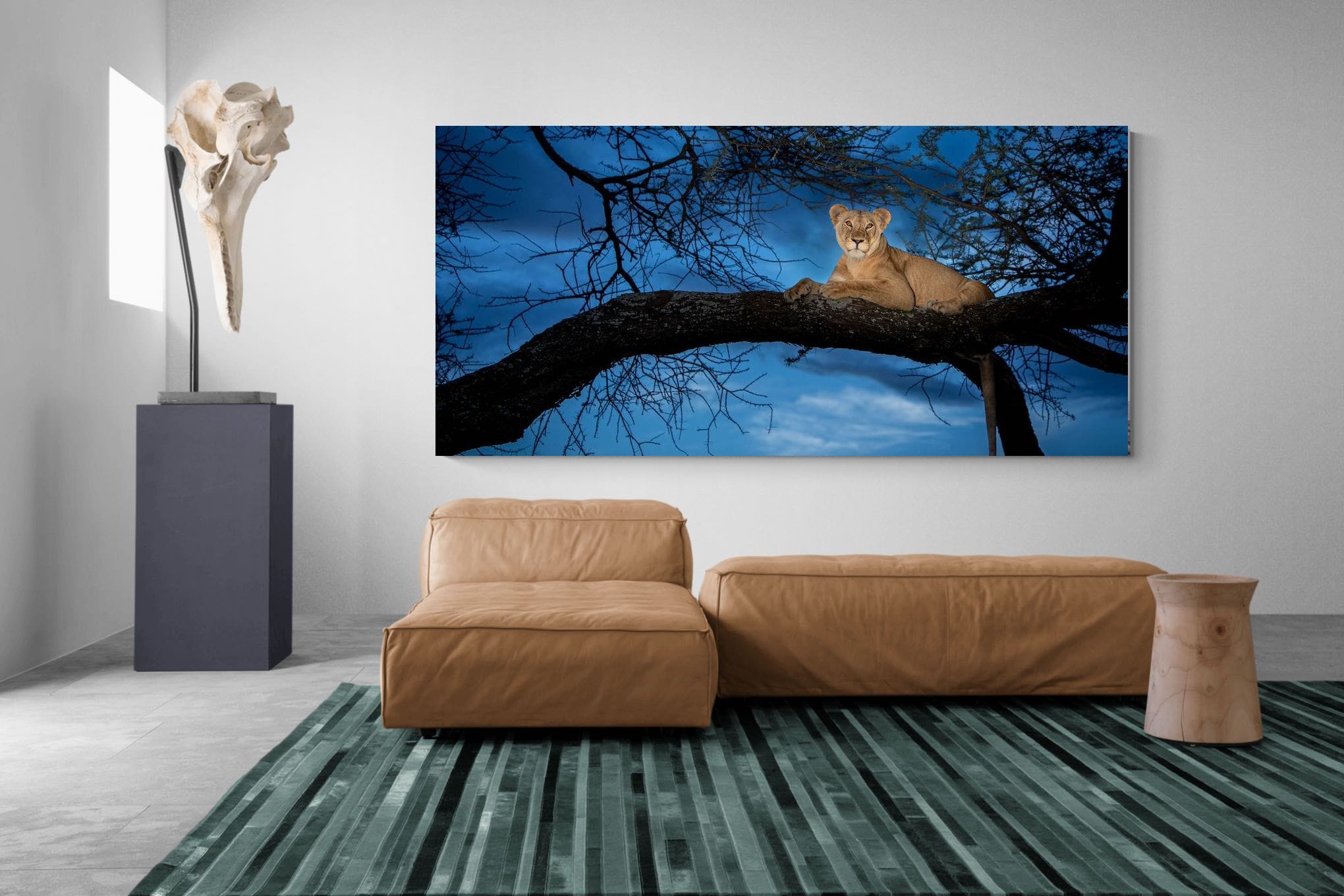 Lion at Dusk-Wall_Art-275 x 130cm-Mounted Canvas-No Frame-Pixalot