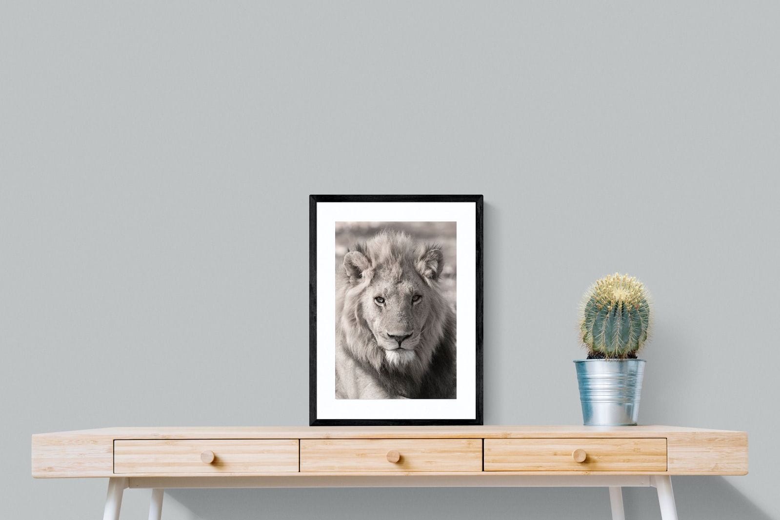 Lion Eyes-Wall_Art-45 x 60cm-Framed Print-Black-Pixalot