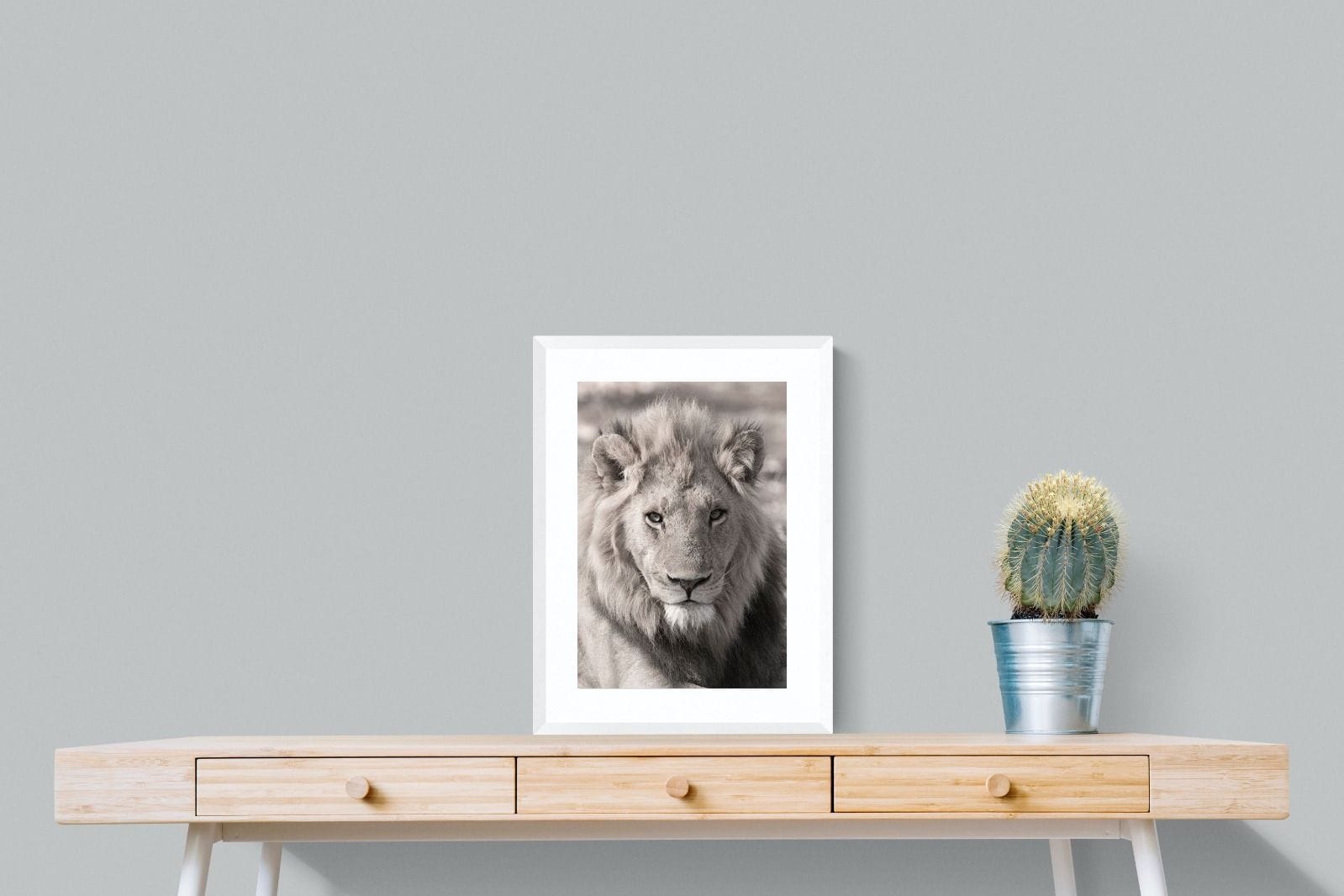 Lion Eyes-Wall_Art-45 x 60cm-Framed Print-White-Pixalot
