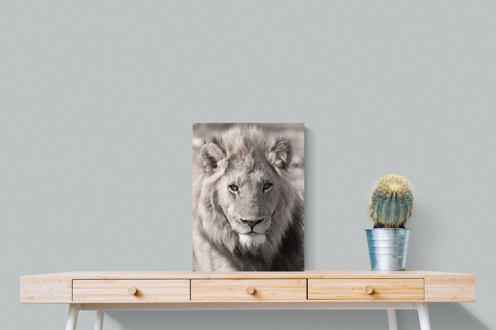 Lion Eyes-Wall_Art-45 x 60cm-Mounted Canvas-No Frame-Pixalot
