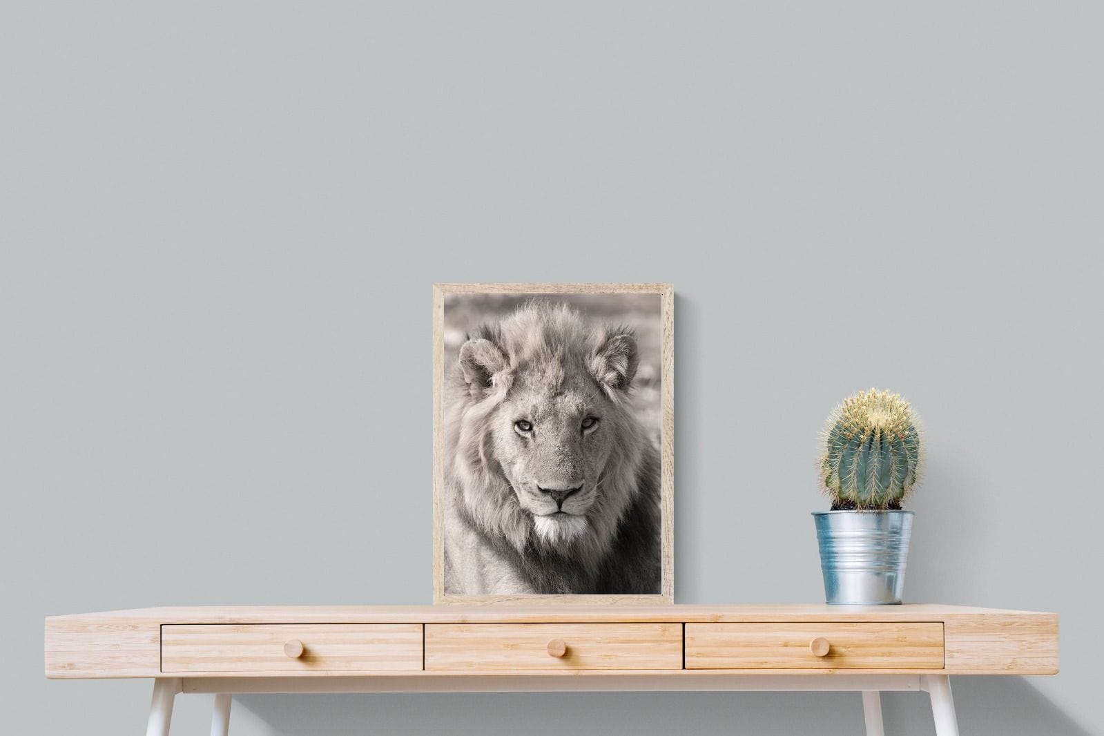 Lion Eyes-Wall_Art-45 x 60cm-Mounted Canvas-Wood-Pixalot