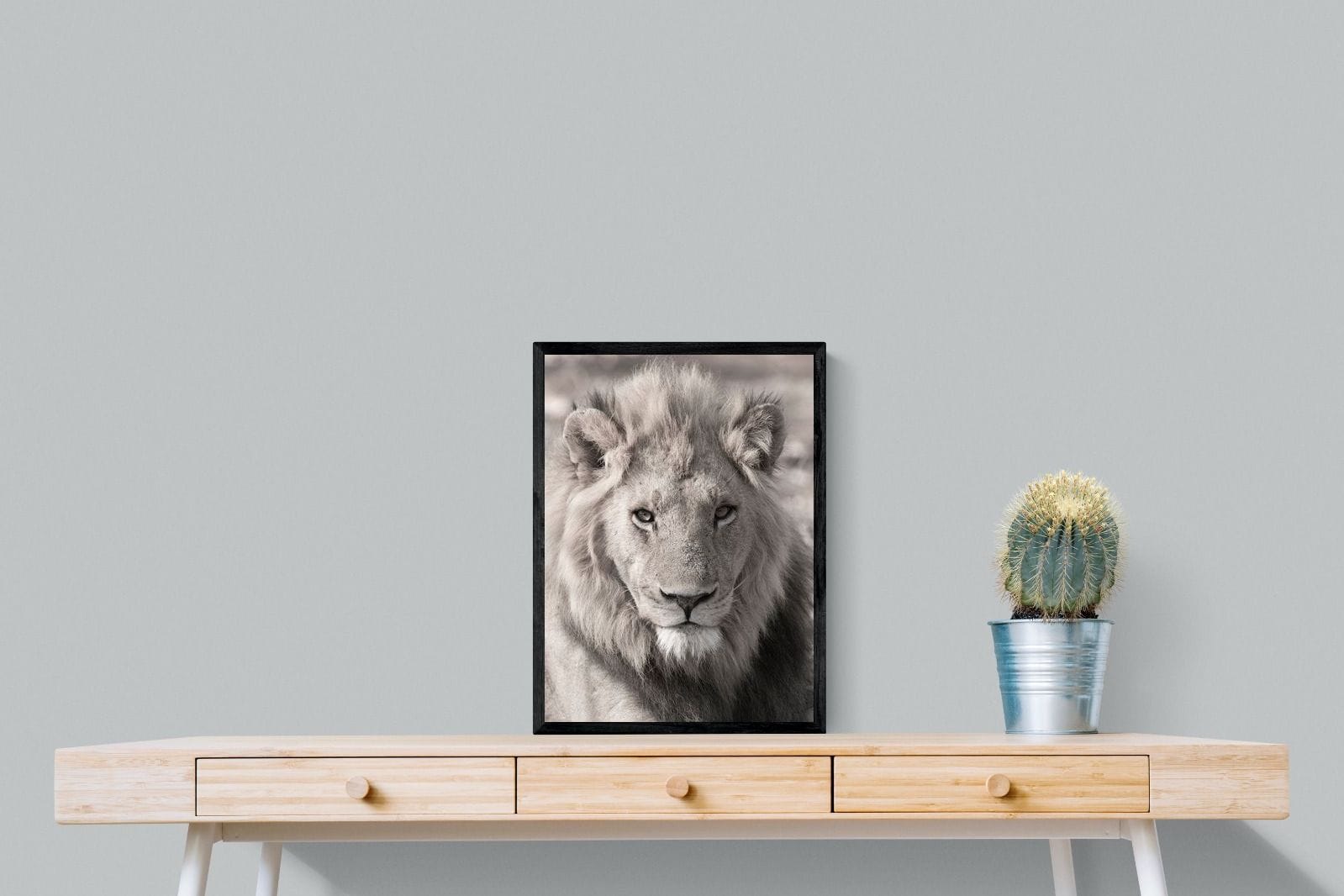 Lion Eyes-Wall_Art-45 x 60cm-Mounted Canvas-Black-Pixalot