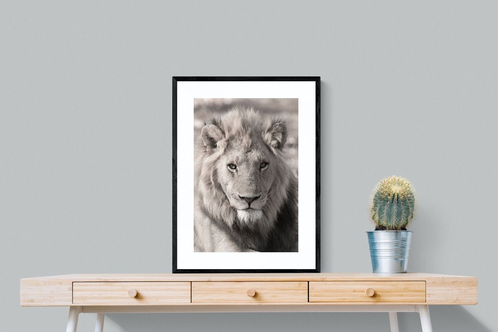 Lion Eyes-Wall_Art-60 x 80cm-Framed Print-Black-Pixalot
