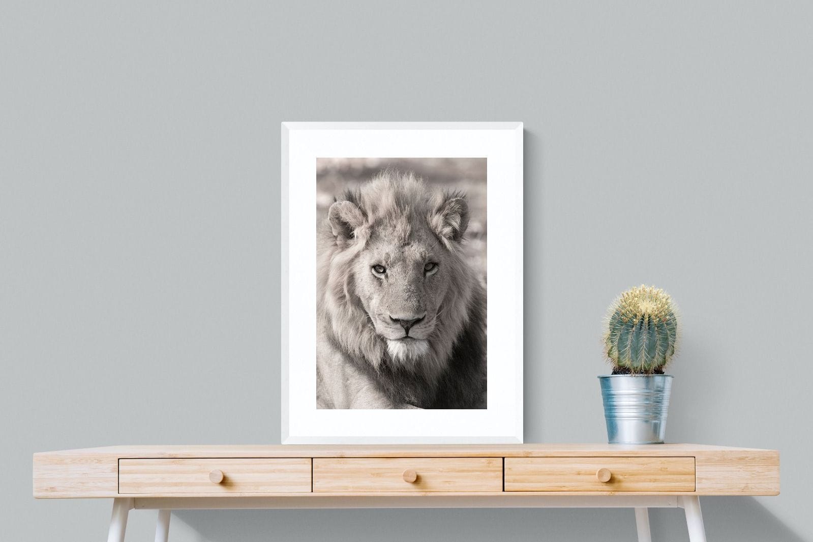 Lion Eyes-Wall_Art-60 x 80cm-Framed Print-White-Pixalot