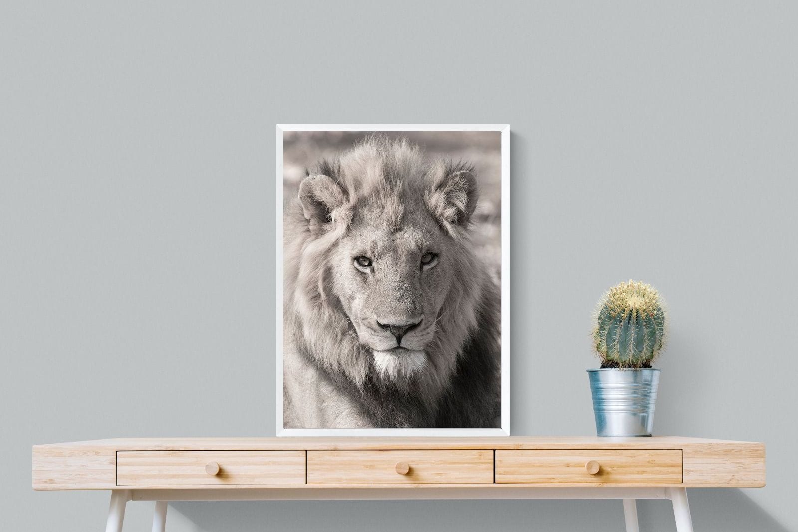 Lion Eyes-Wall_Art-60 x 80cm-Mounted Canvas-White-Pixalot