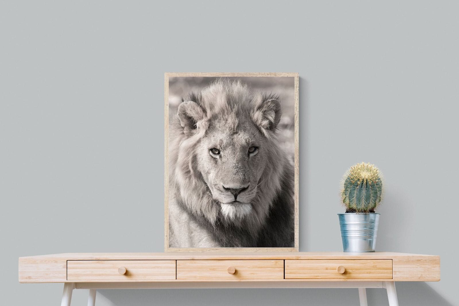 Lion Eyes-Wall_Art-60 x 80cm-Mounted Canvas-Wood-Pixalot