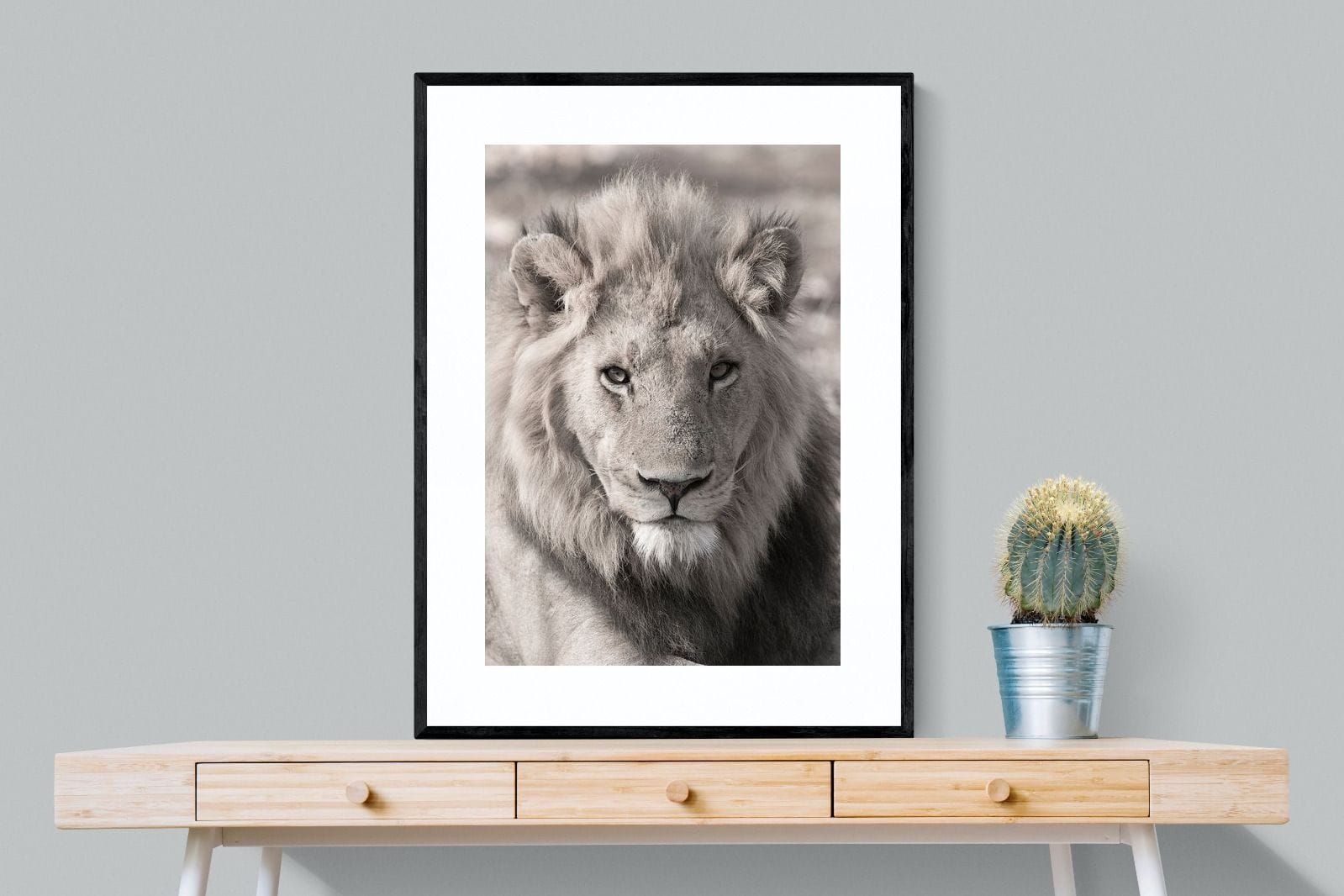 Lion Eyes-Wall_Art-75 x 100cm-Framed Print-Black-Pixalot