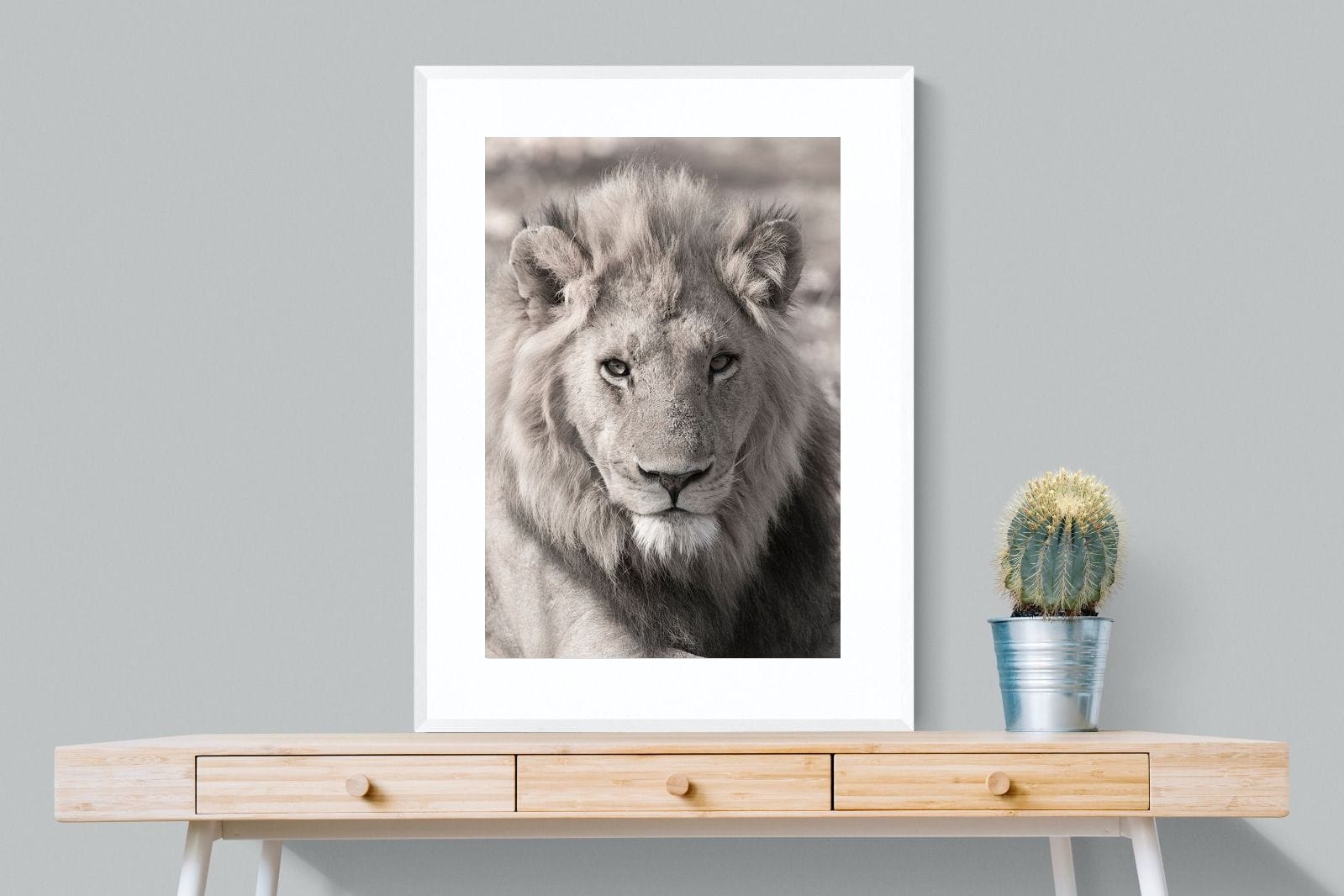 Lion Eyes-Wall_Art-75 x 100cm-Framed Print-White-Pixalot
