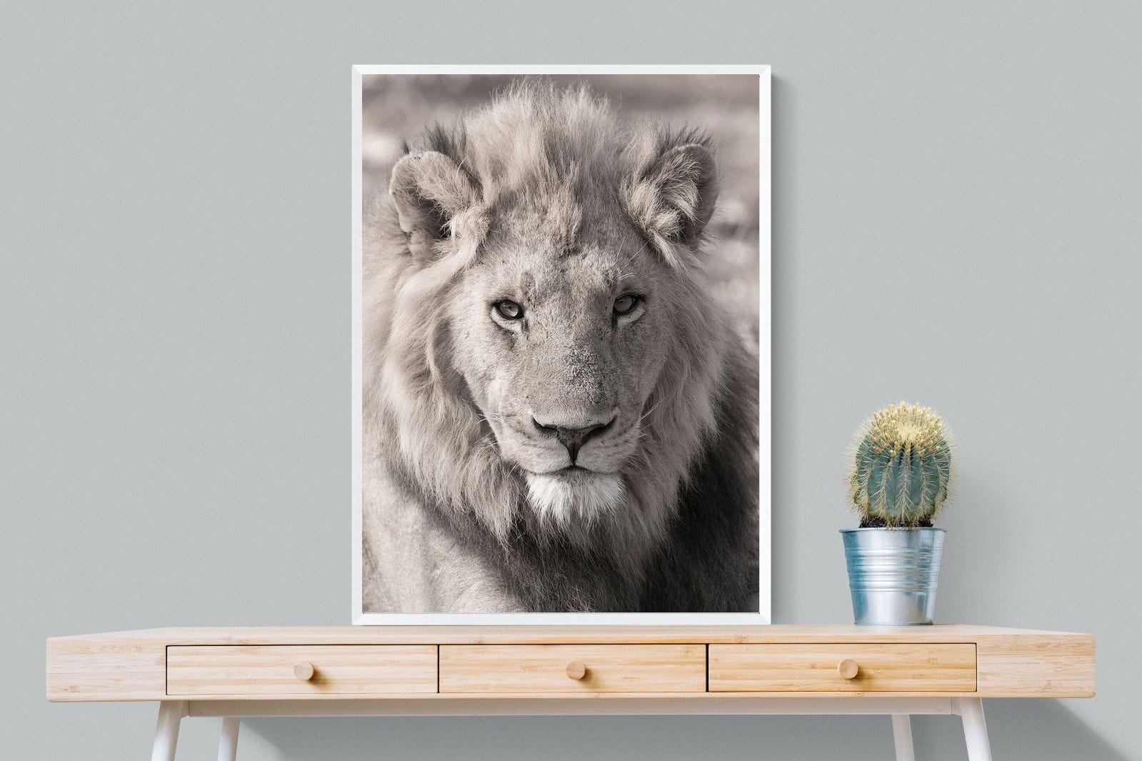 Lion Eyes-Wall_Art-75 x 100cm-Mounted Canvas-White-Pixalot
