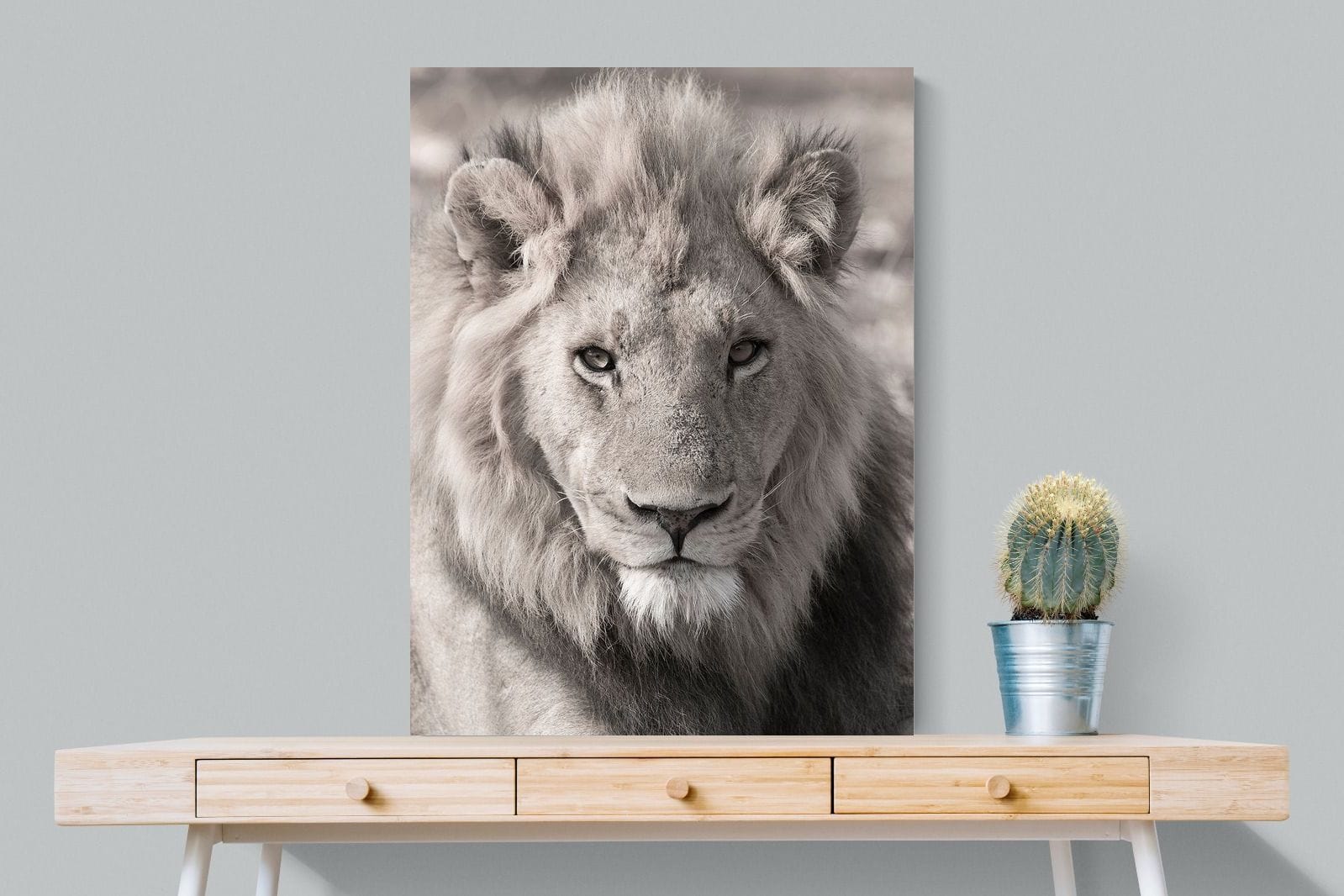 Lion Eyes-Wall_Art-75 x 100cm-Mounted Canvas-No Frame-Pixalot