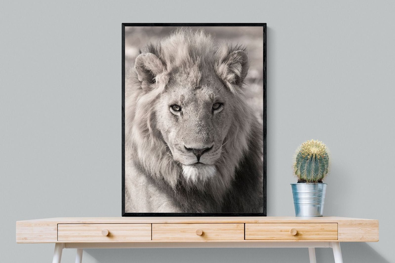 Lion Eyes-Wall_Art-75 x 100cm-Mounted Canvas-Black-Pixalot