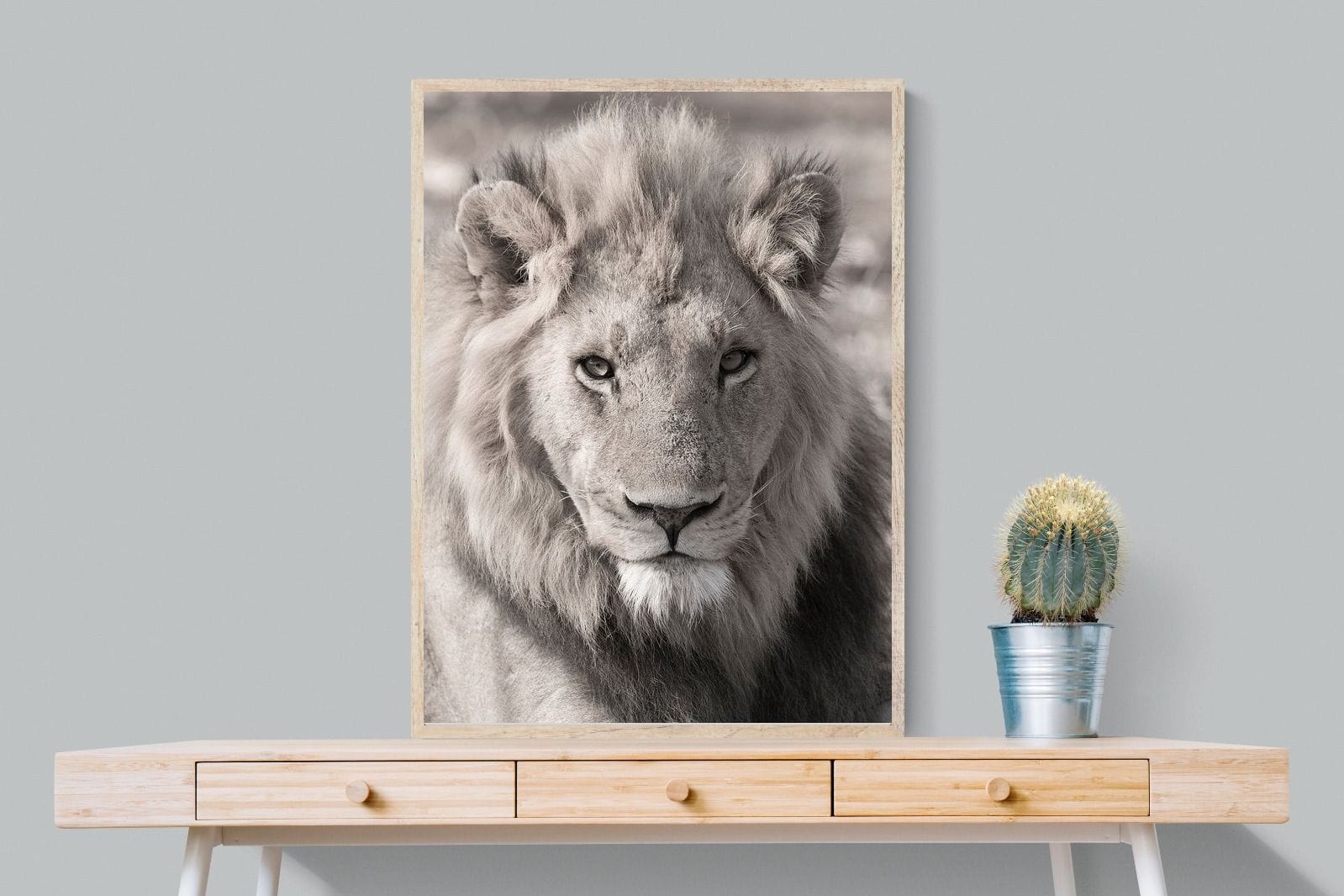 Lion Eyes-Wall_Art-75 x 100cm-Mounted Canvas-Wood-Pixalot