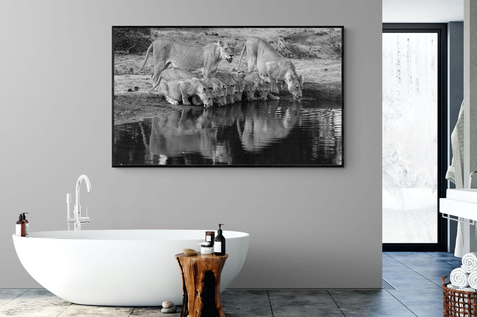 Lion Lake Family-Wall_Art-180 x 110cm-Mounted Canvas-Black-Pixalot
