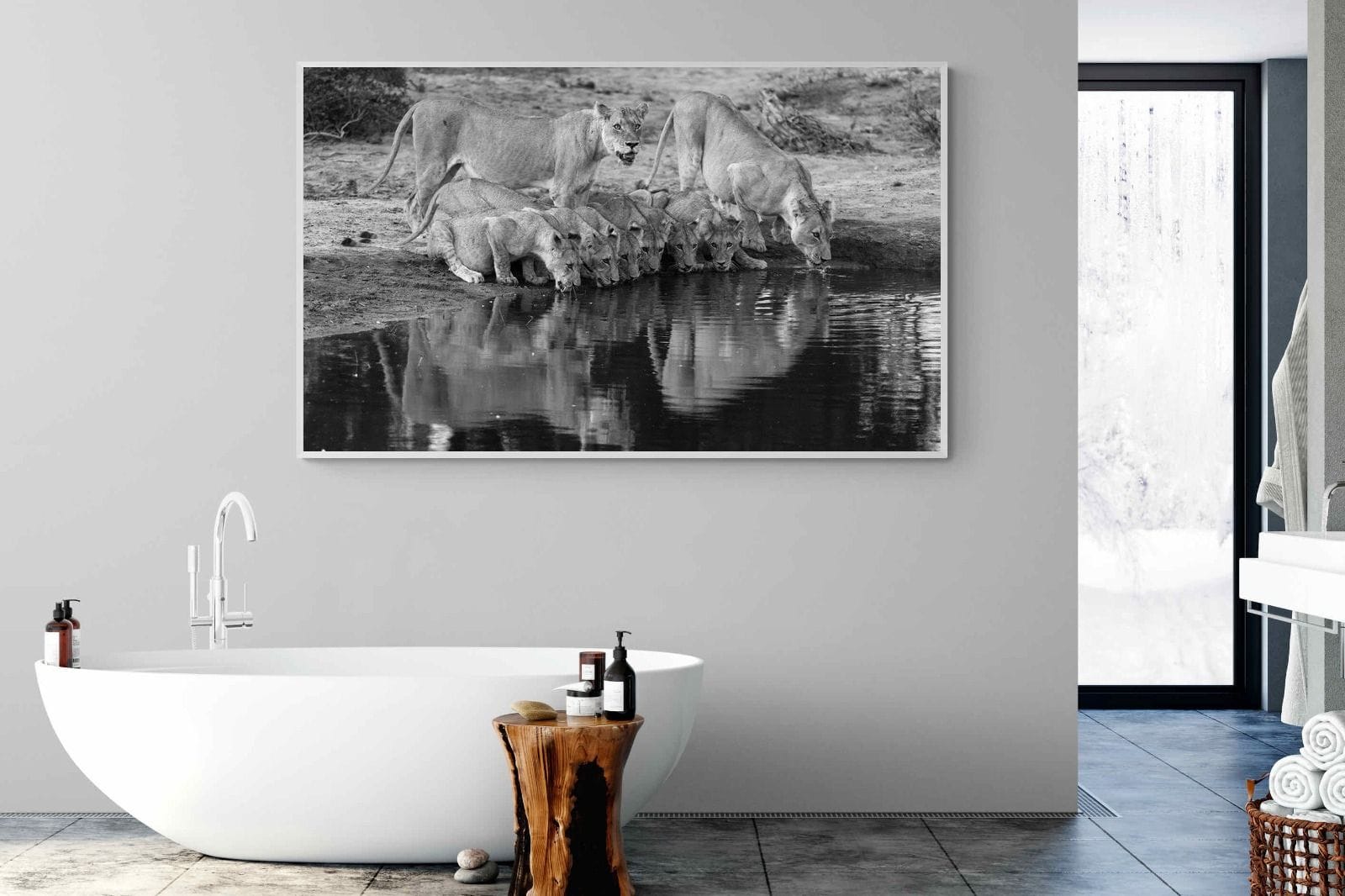 Lion Lake Family-Wall_Art-180 x 110cm-Mounted Canvas-White-Pixalot