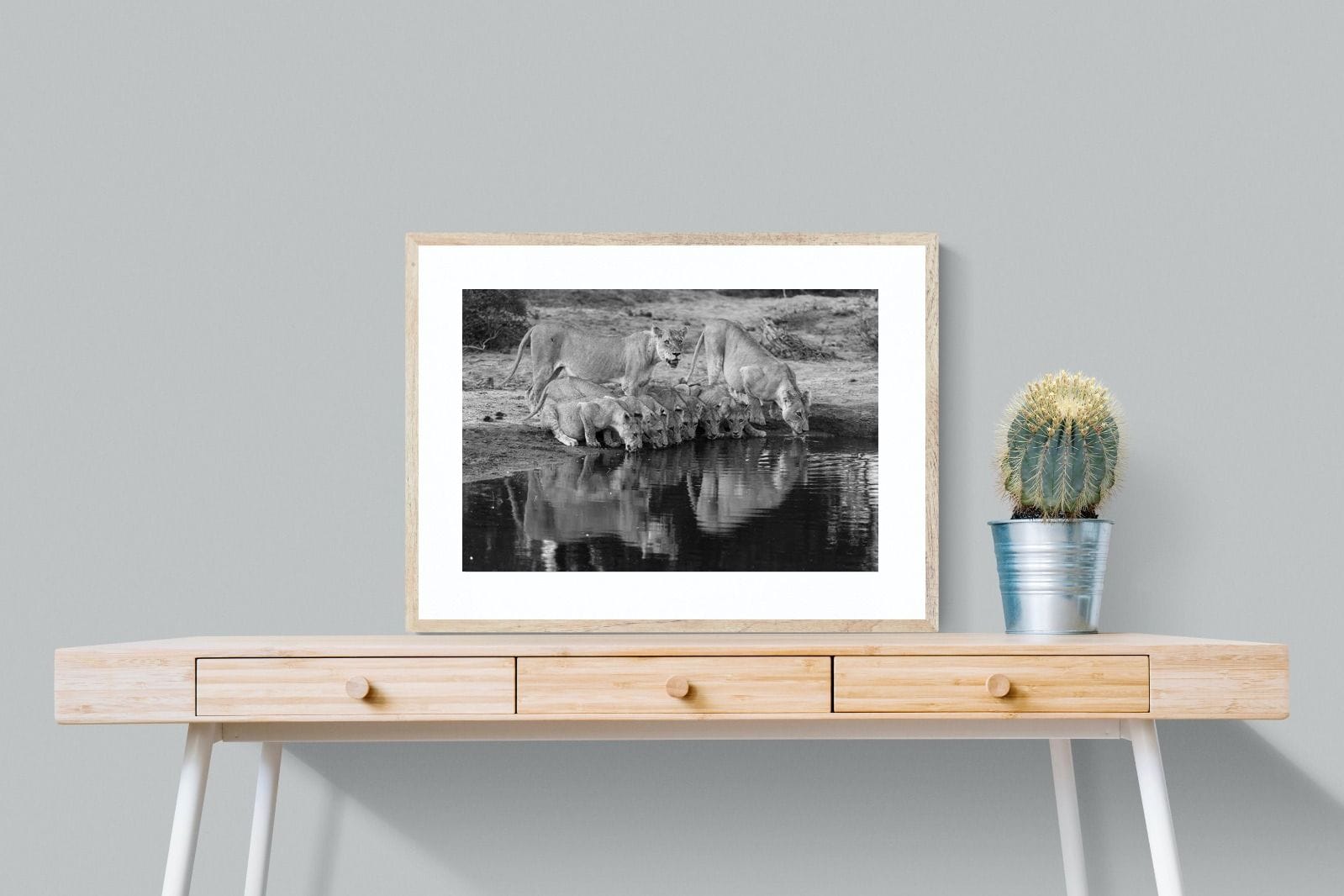 Lion Lake Family-Wall_Art-80 x 60cm-Framed Print-Wood-Pixalot