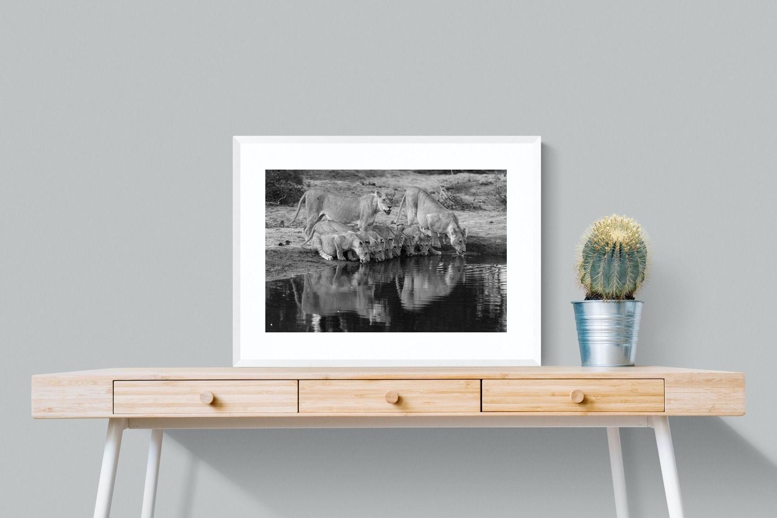 Lion Lake Family-Wall_Art-80 x 60cm-Framed Print-White-Pixalot