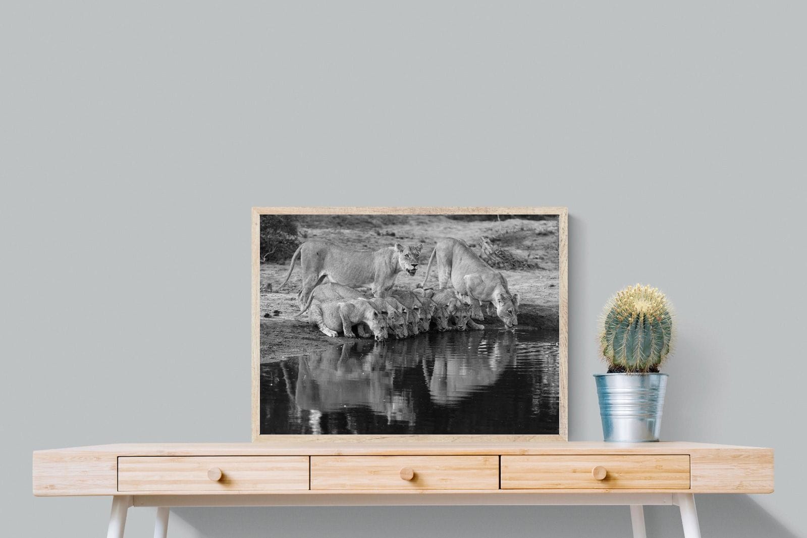 Lion Lake Family-Wall_Art-80 x 60cm-Mounted Canvas-Wood-Pixalot