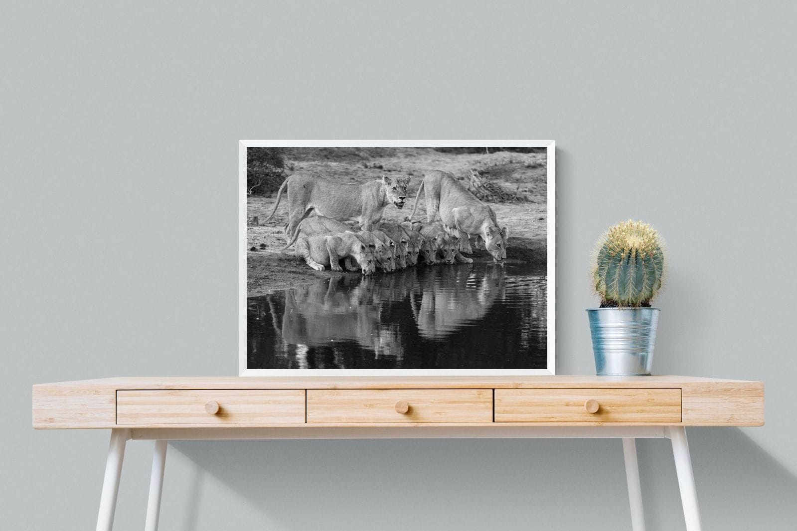 Lion Lake Family-Wall_Art-80 x 60cm-Mounted Canvas-White-Pixalot