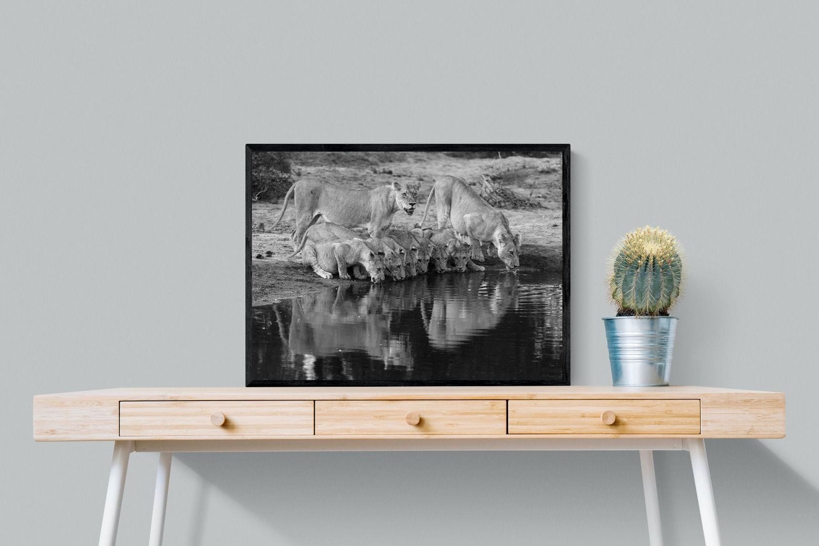 Lion Lake Family-Wall_Art-80 x 60cm-Mounted Canvas-Black-Pixalot