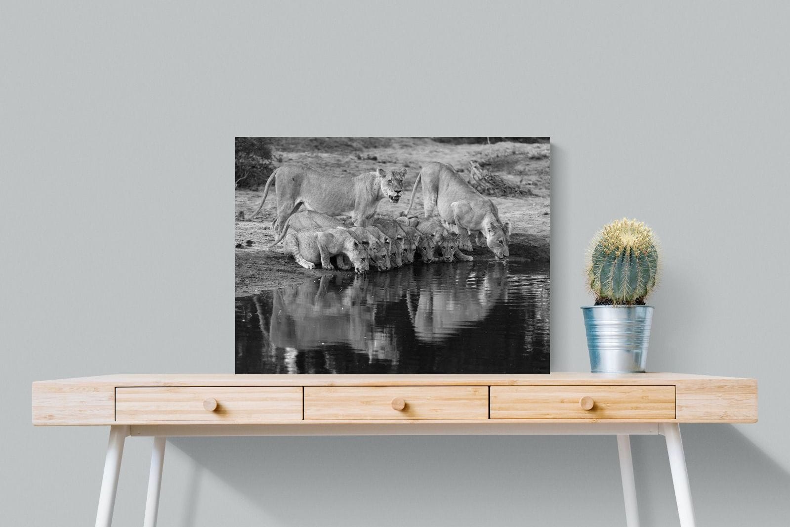 Lion Lake Family-Wall_Art-80 x 60cm-Mounted Canvas-No Frame-Pixalot
