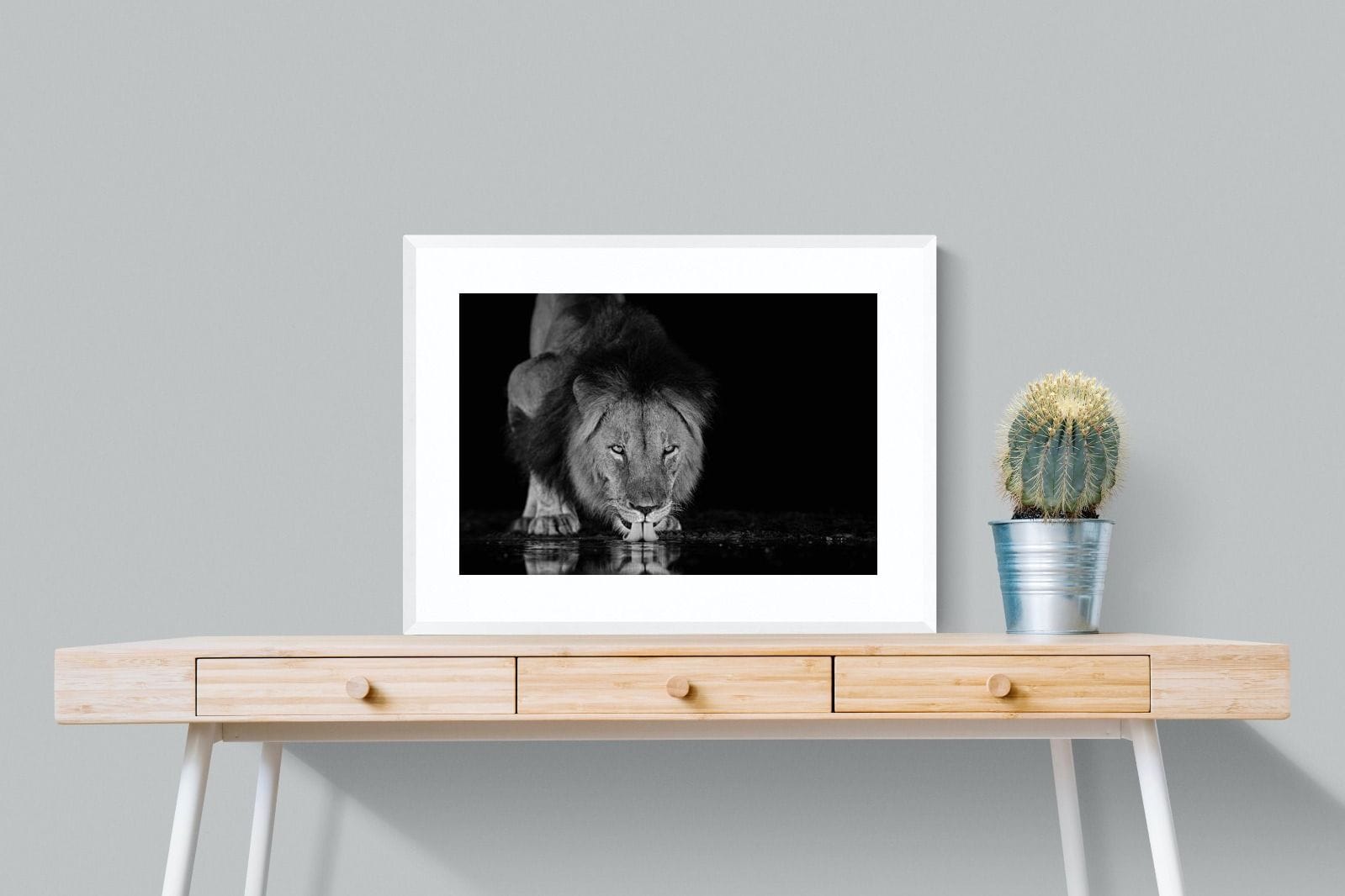 Lion Lake-Wall_Art-80 x 60cm-Framed Print-White-Pixalot
