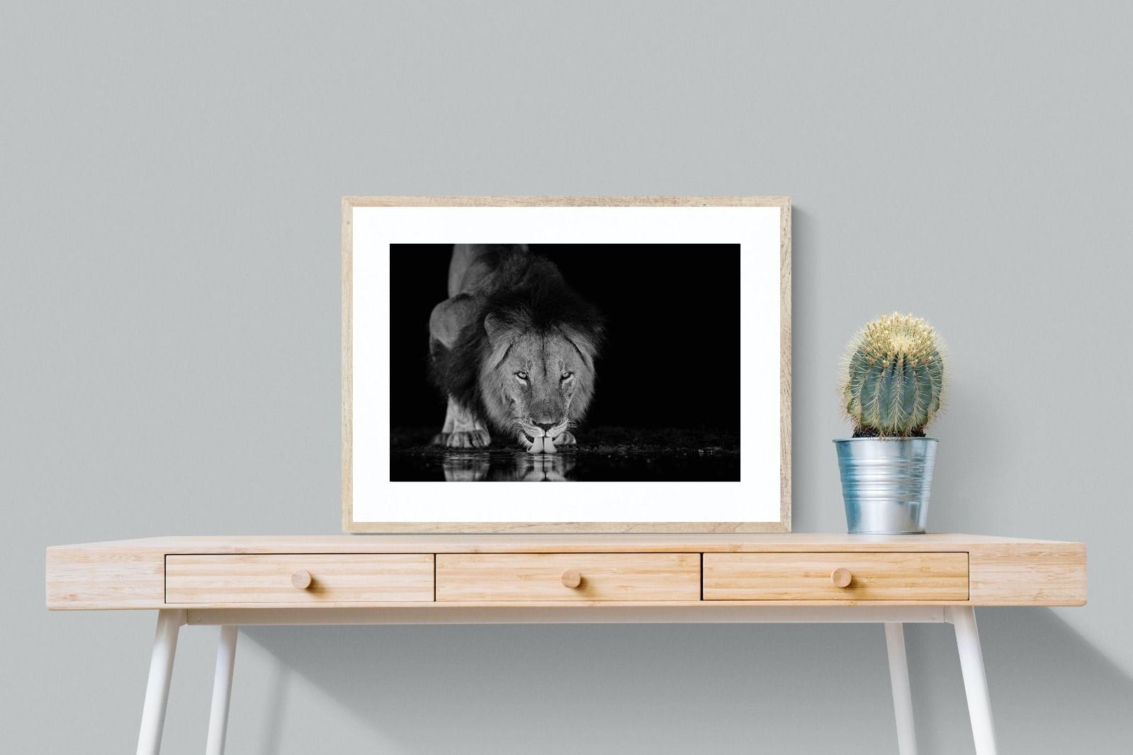 Lion Lake-Wall_Art-80 x 60cm-Framed Print-Wood-Pixalot