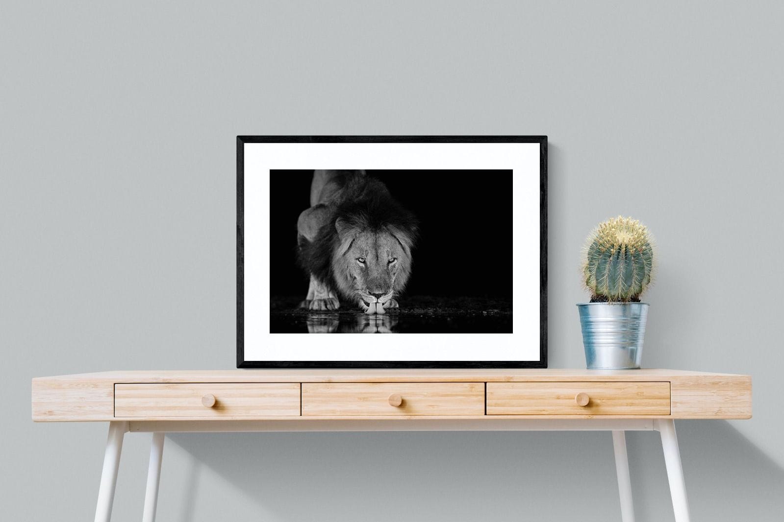 Lion Lake-Wall_Art-80 x 60cm-Framed Print-Black-Pixalot