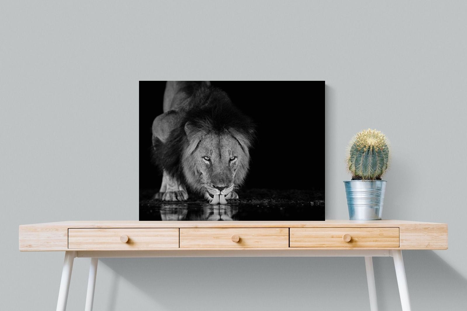 Lion Lake-Wall_Art-80 x 60cm-Mounted Canvas-No Frame-Pixalot