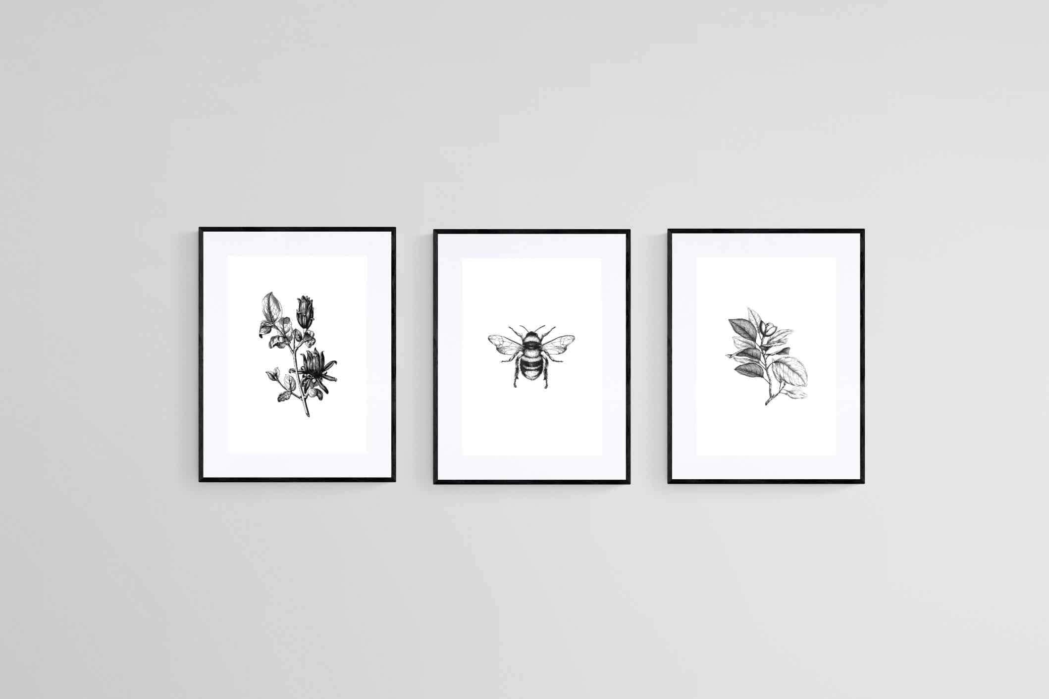 Magnolia Set-Wall_Art-60 x 80cm (x3)-Framed Print-Black-Pixalot