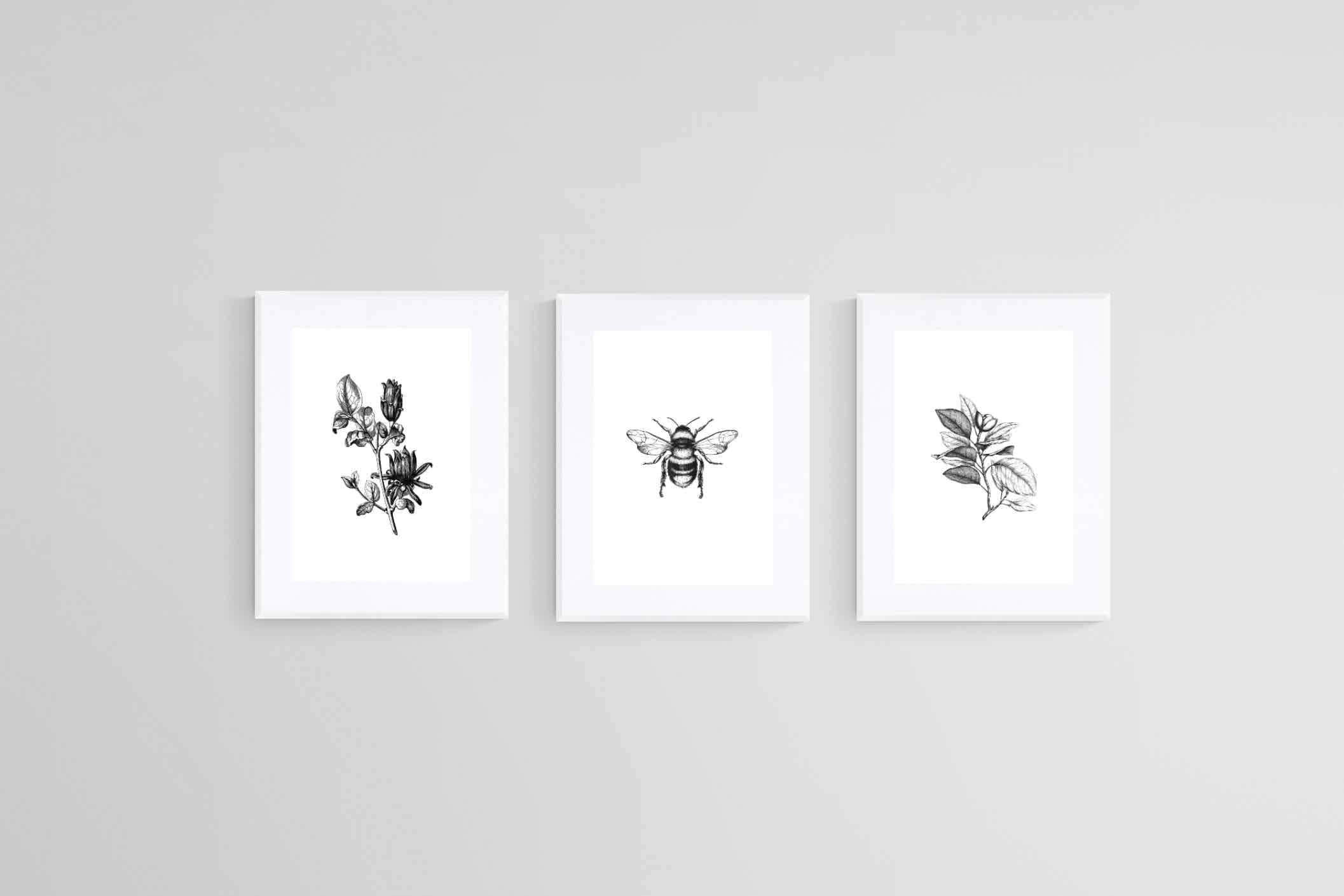 Magnolia Set-Wall_Art-60 x 80cm (x3)-Framed Print-White-Pixalot