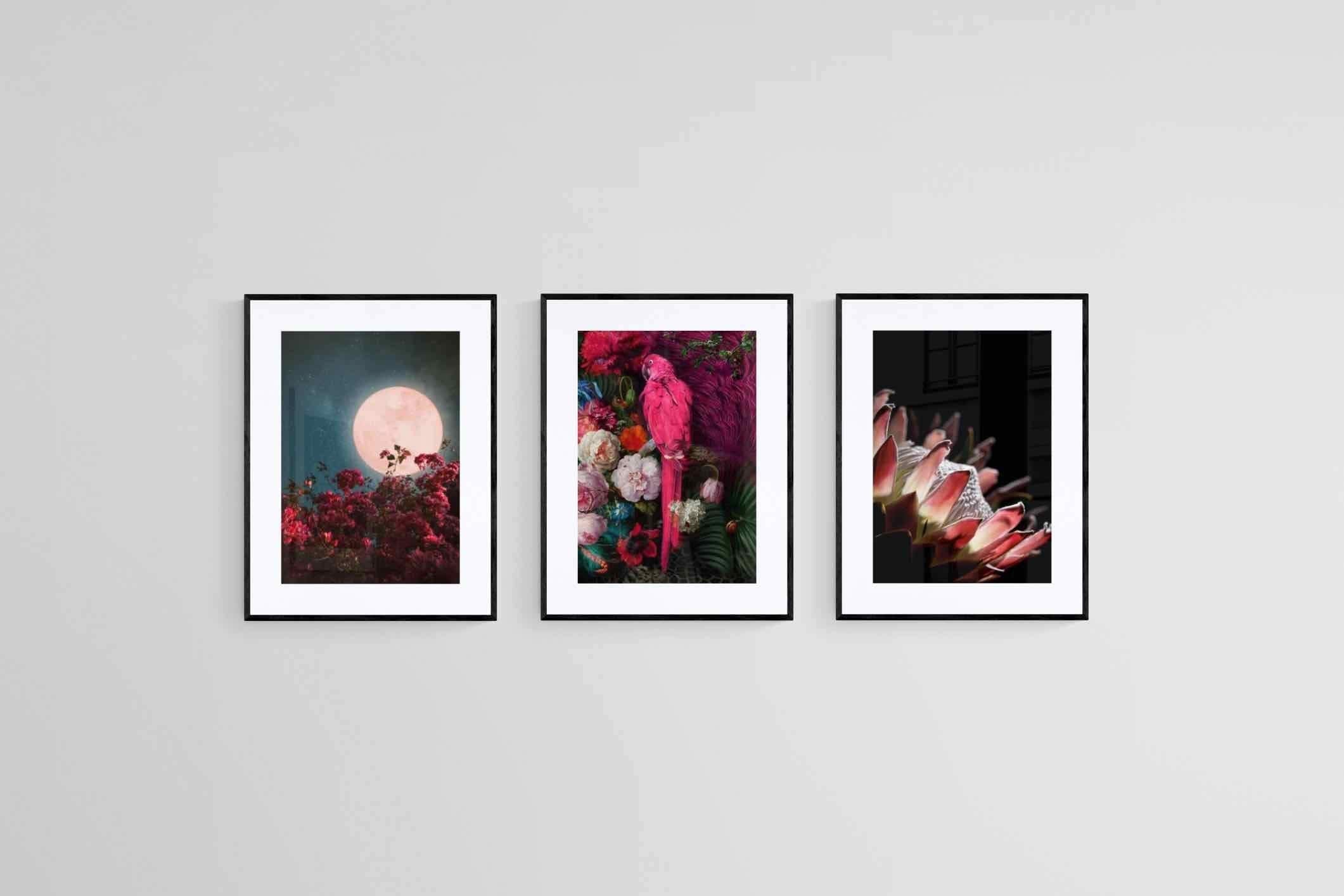 Midnight Set-Wall_Art-45 x 60cm (x3)-Framed Print-Black-Pixalot