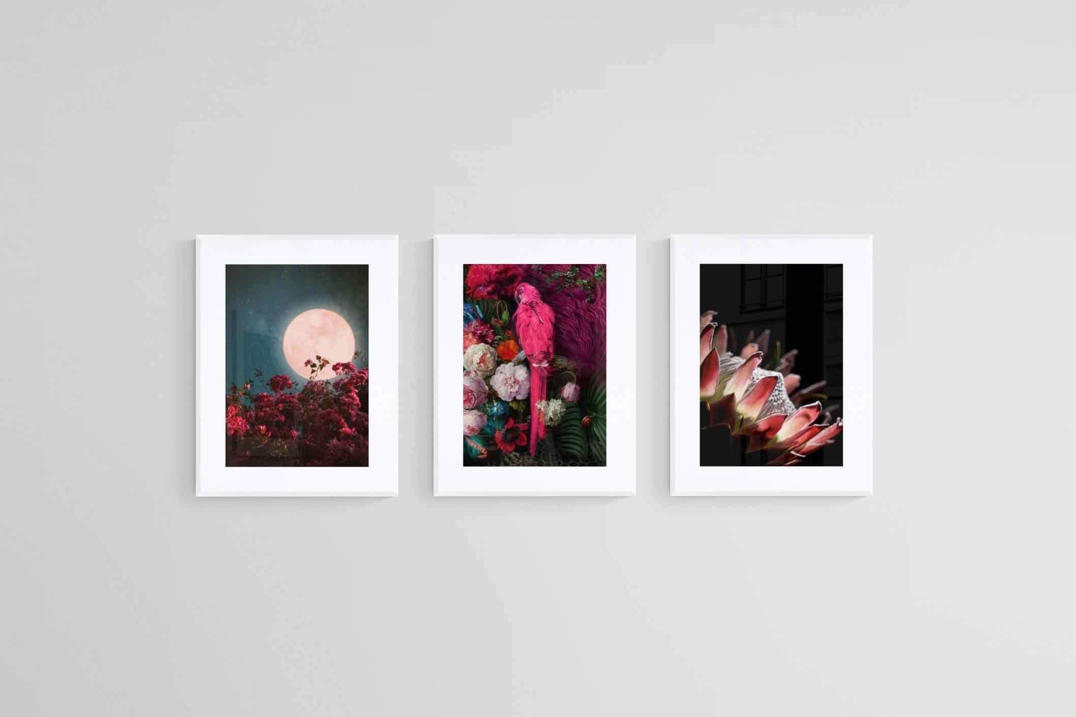 Midnight Set-Wall_Art-45 x 60cm (x3)-Framed Print-White-Pixalot