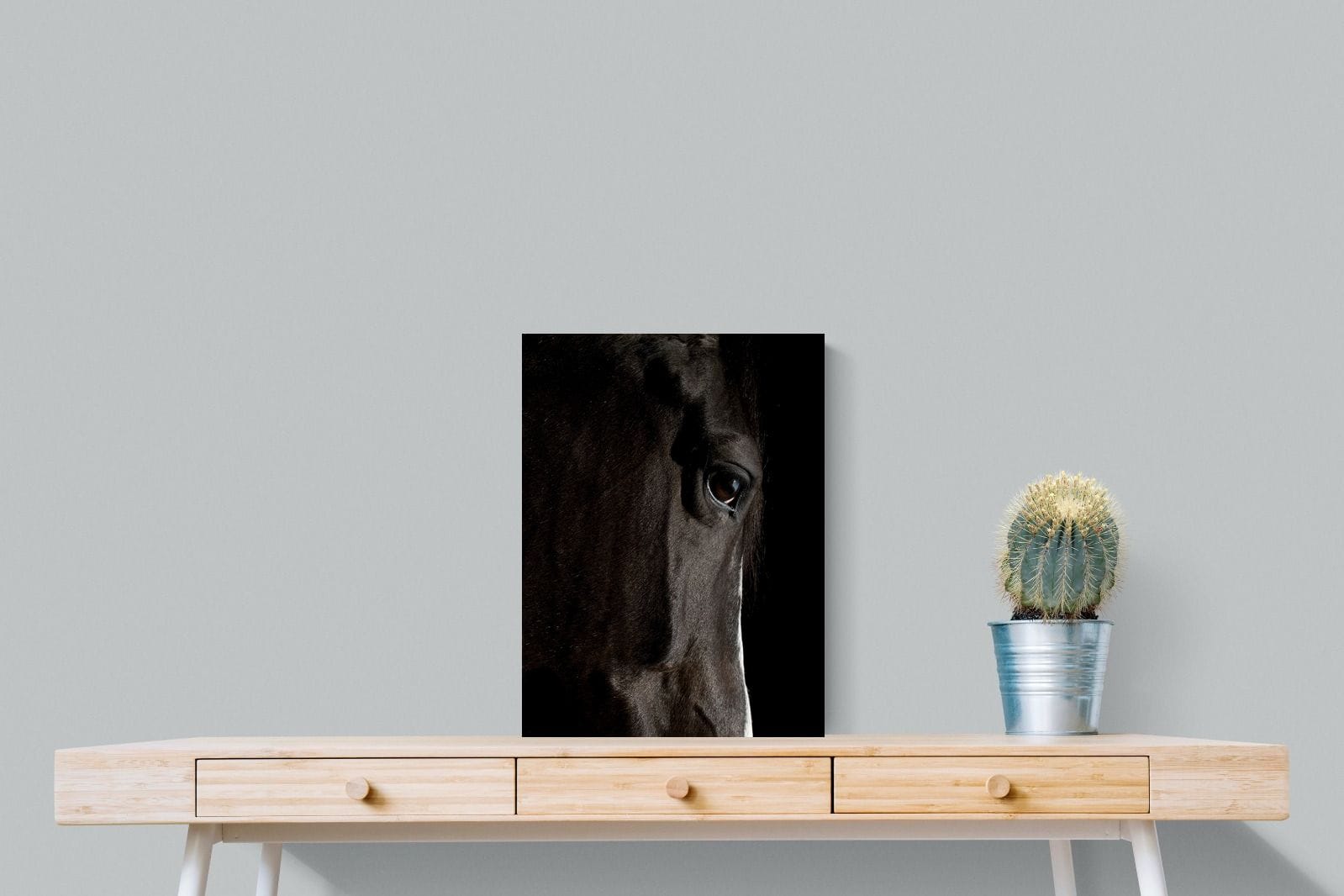 Midnight Stallion-Wall_Art-45 x 60cm-Mounted Canvas-No Frame-Pixalot