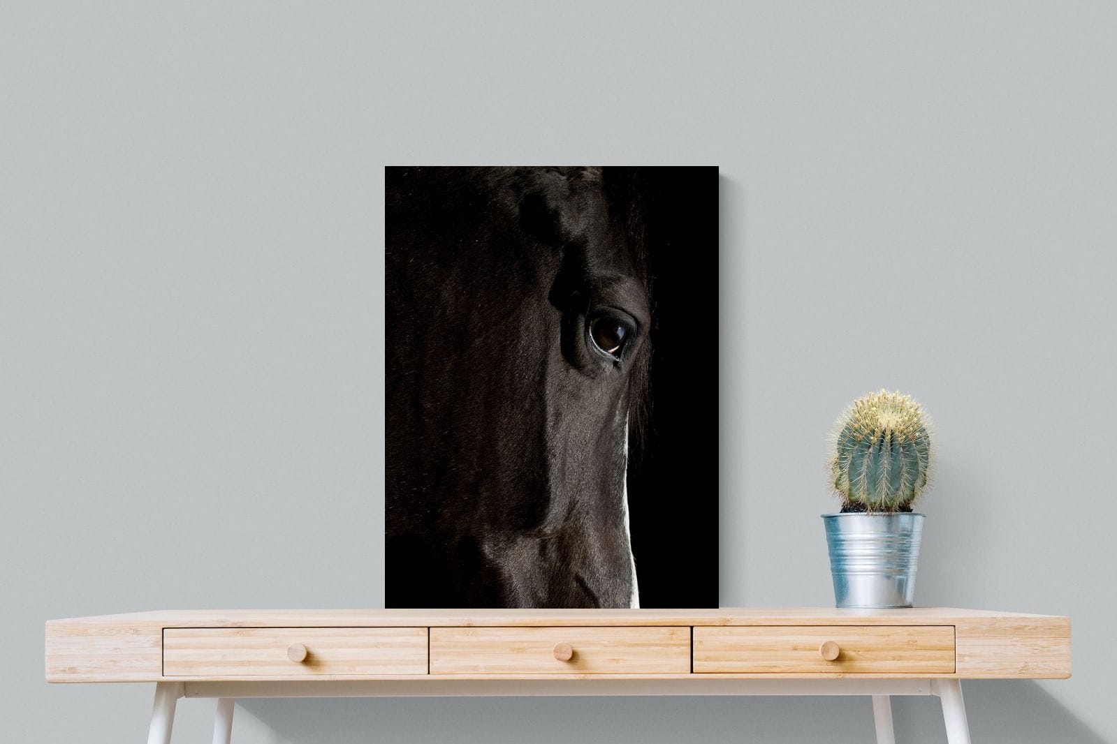 Midnight Stallion-Wall_Art-60 x 80cm-Mounted Canvas-No Frame-Pixalot