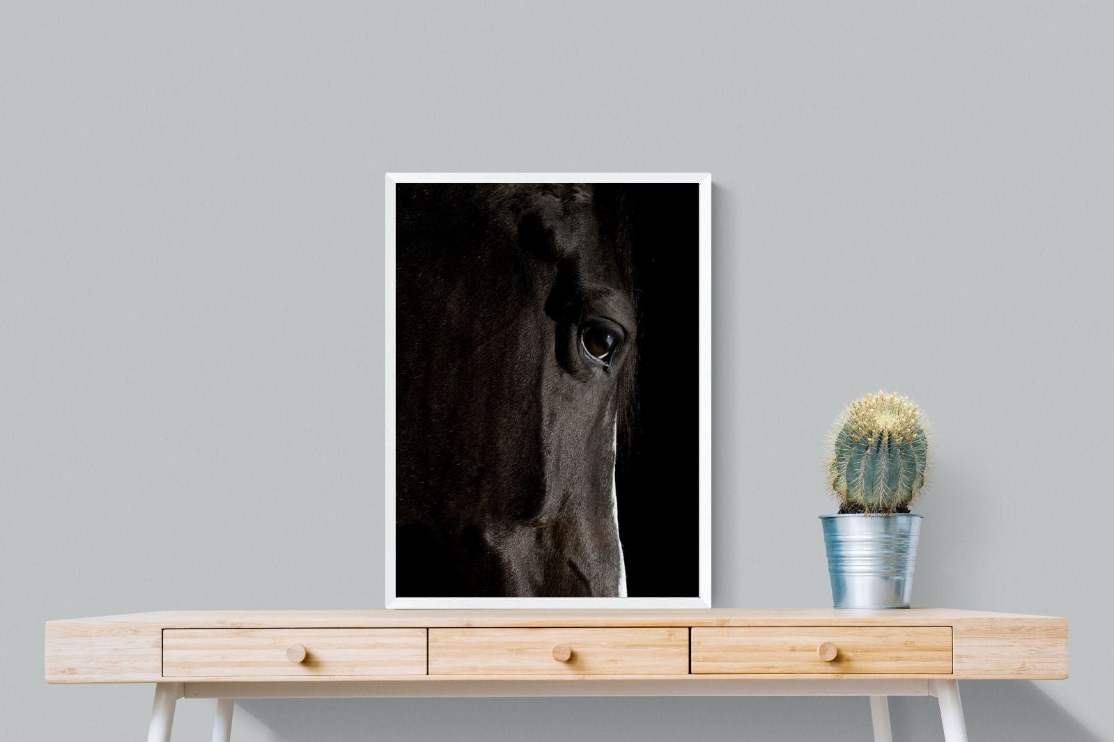 Midnight Stallion-Wall_Art-60 x 80cm-Mounted Canvas-White-Pixalot