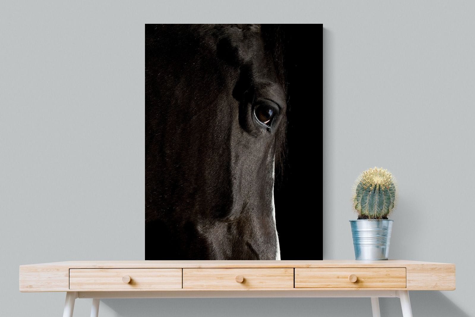 Midnight Stallion-Wall_Art-75 x 100cm-Mounted Canvas-No Frame-Pixalot