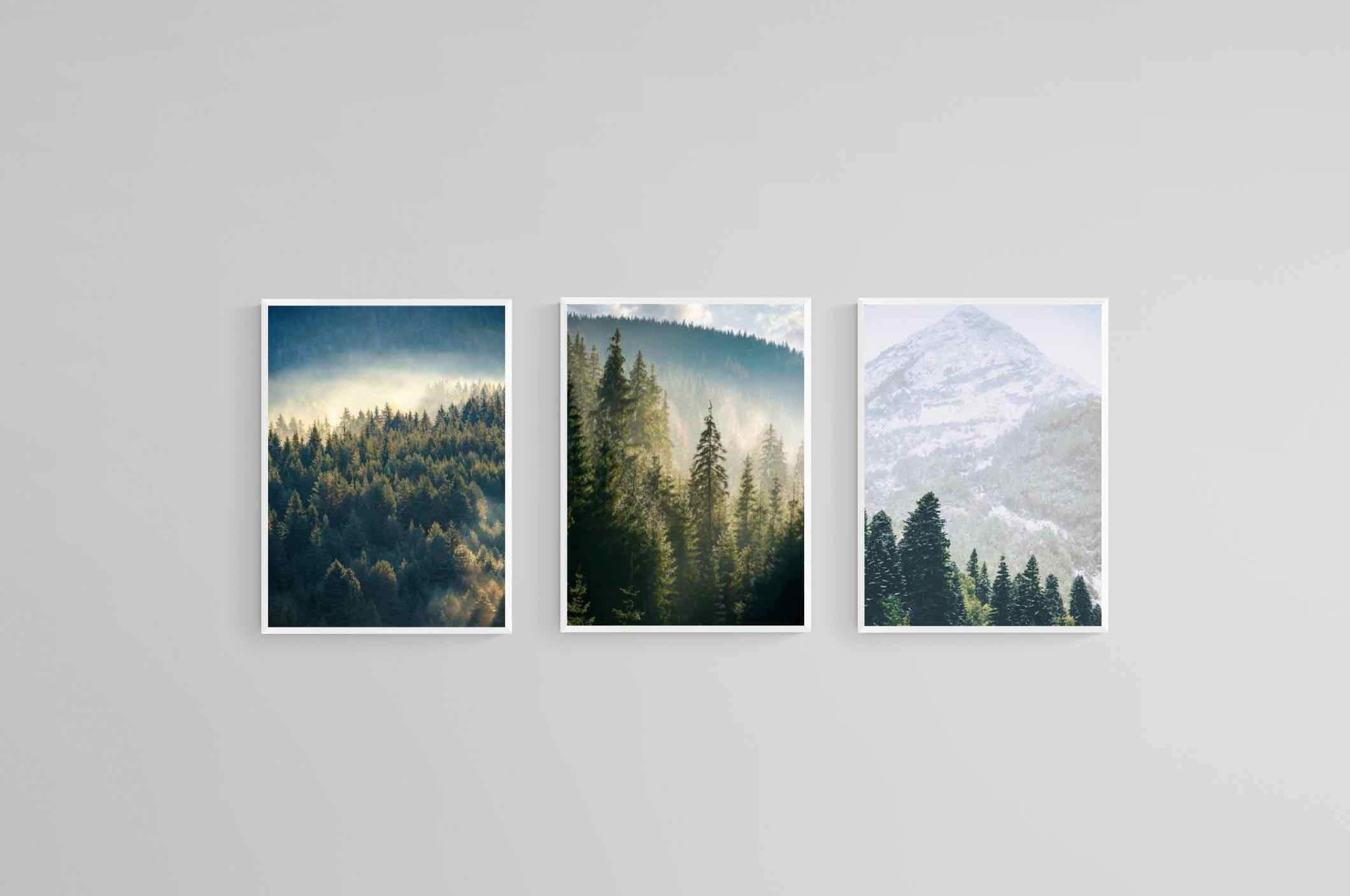 Misty Forest Set-Wall_Art-45 x 60cm (x3)-Mounted Canvas-White-Pixalot