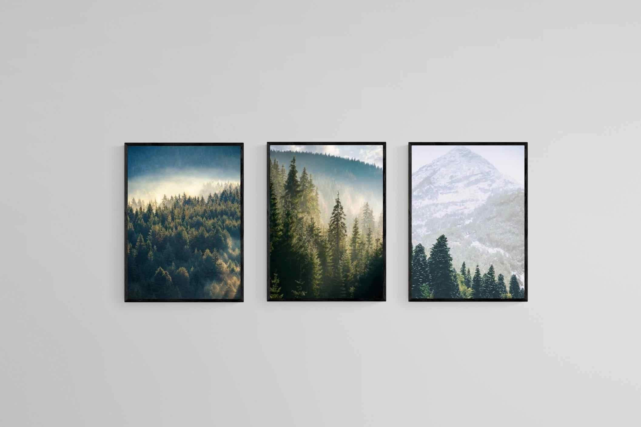Misty Forest Set-Wall_Art-45 x 60cm (x3)-Mounted Canvas-Black-Pixalot