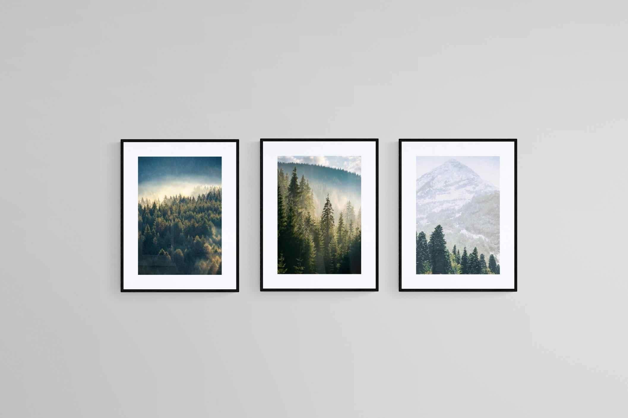 Misty Forest Set-Wall_Art-60 x 80cm (x3)-Framed Print-Black-Pixalot