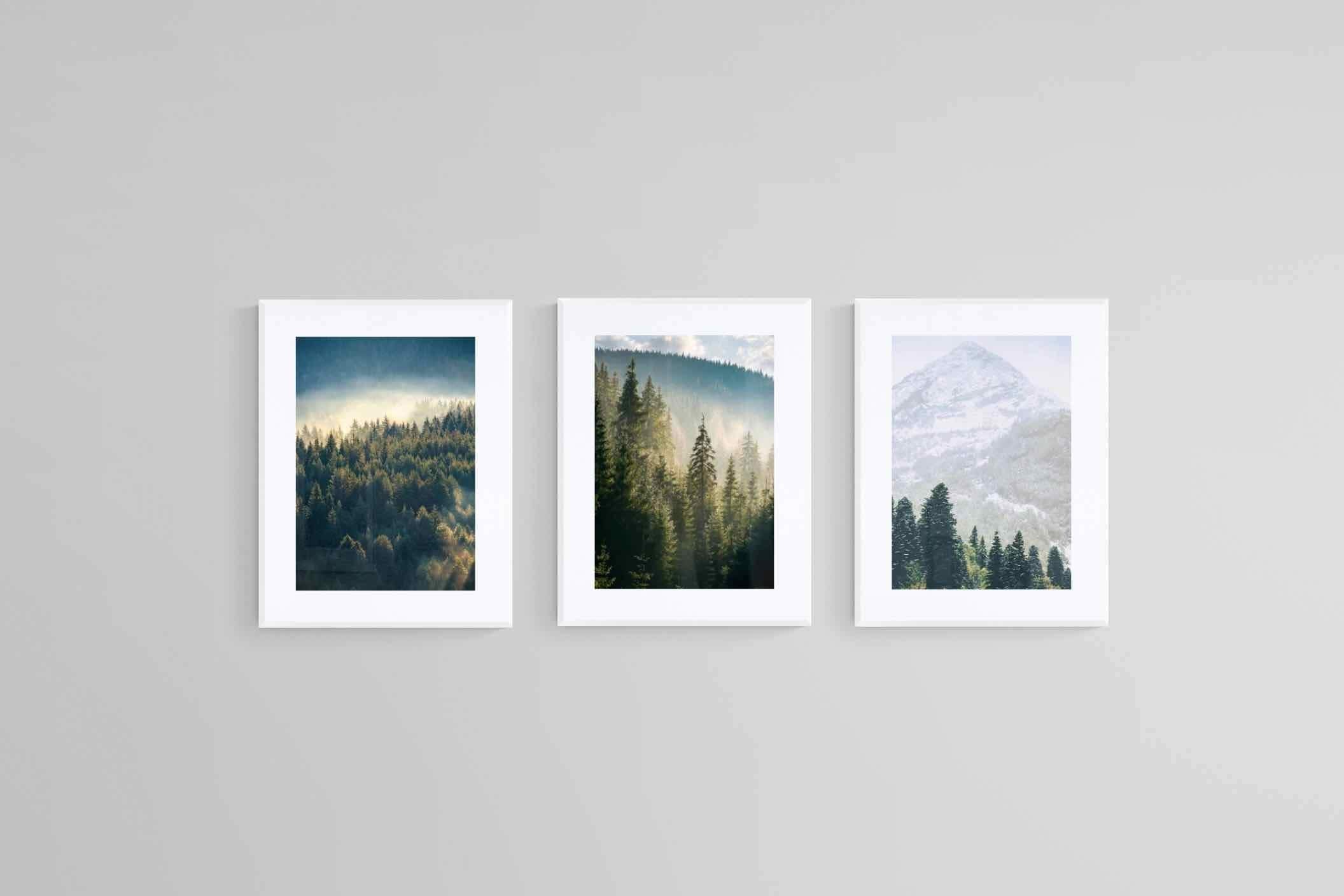 Misty Forest Set-Wall_Art-60 x 80cm (x3)-Framed Print-White-Pixalot